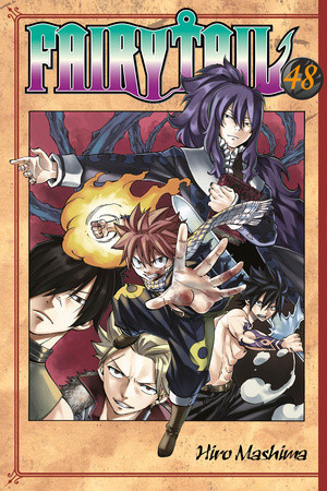 Product Image: FAIRY TAIL, Volume 48