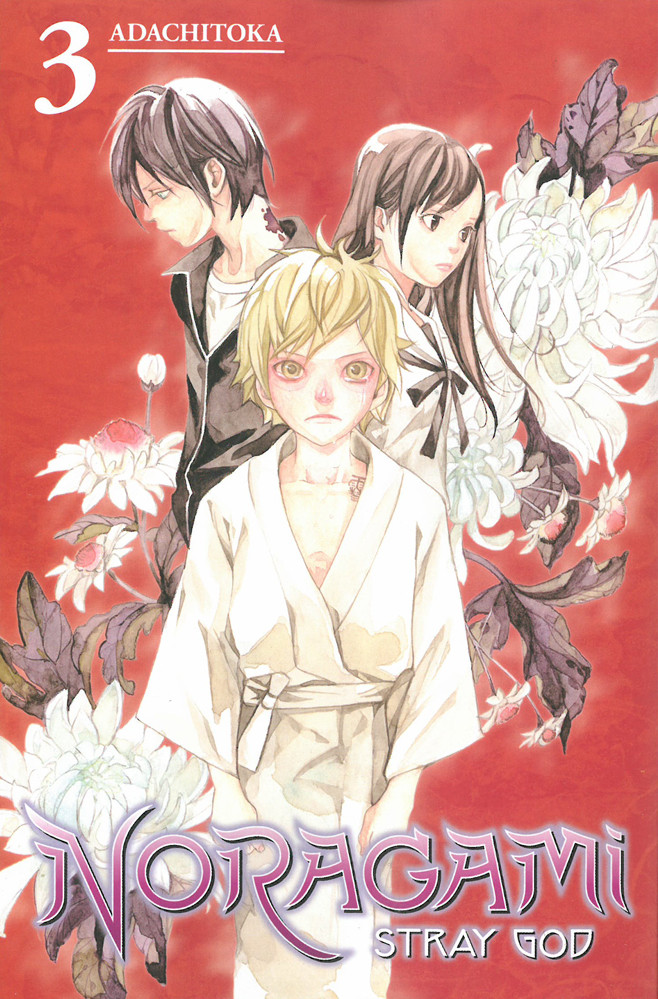 Product Image: Noragami: Stray God, Volume 3