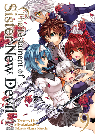 Product Image: The Testament of Sister New Devil Vol. 9