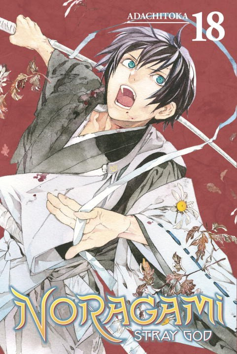 Product Image: Noragami: Stray God, Volume 18