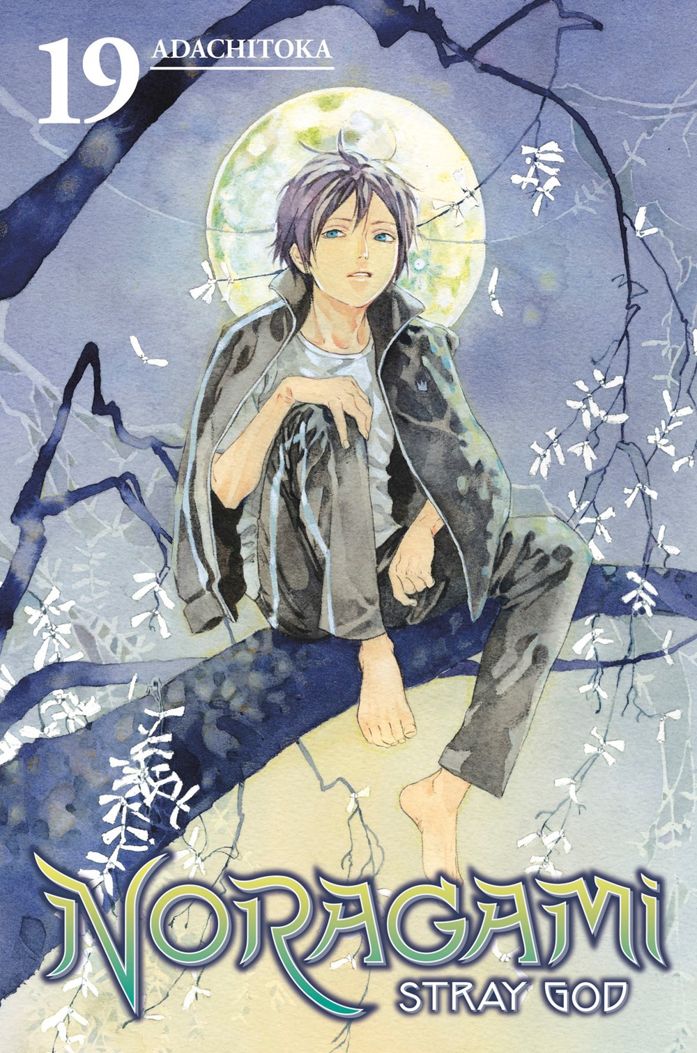 Product Image: Noragami: Stray God, Volume 19