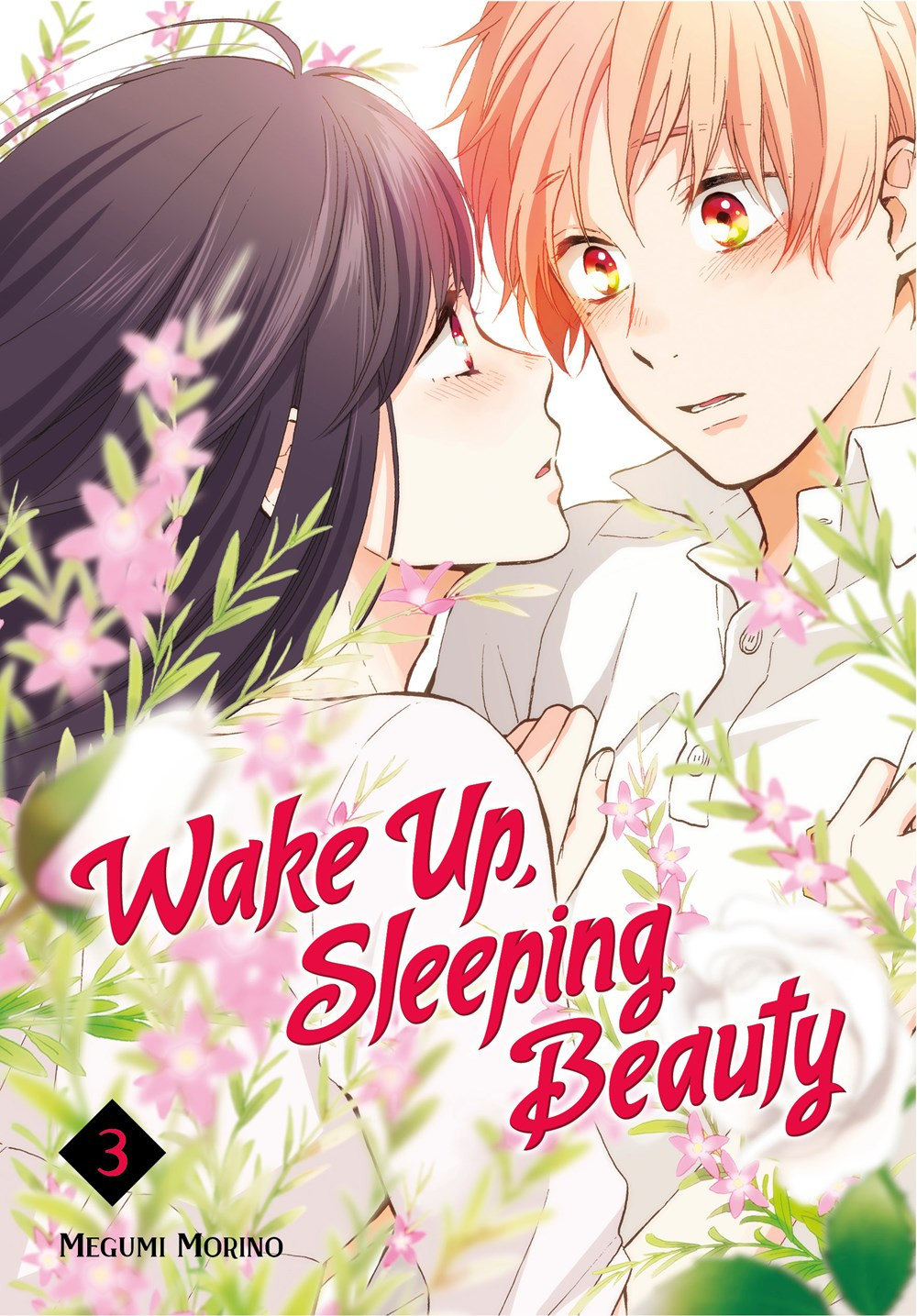 Product Image: Wake Up, Sleeping Beauty, Volume 3