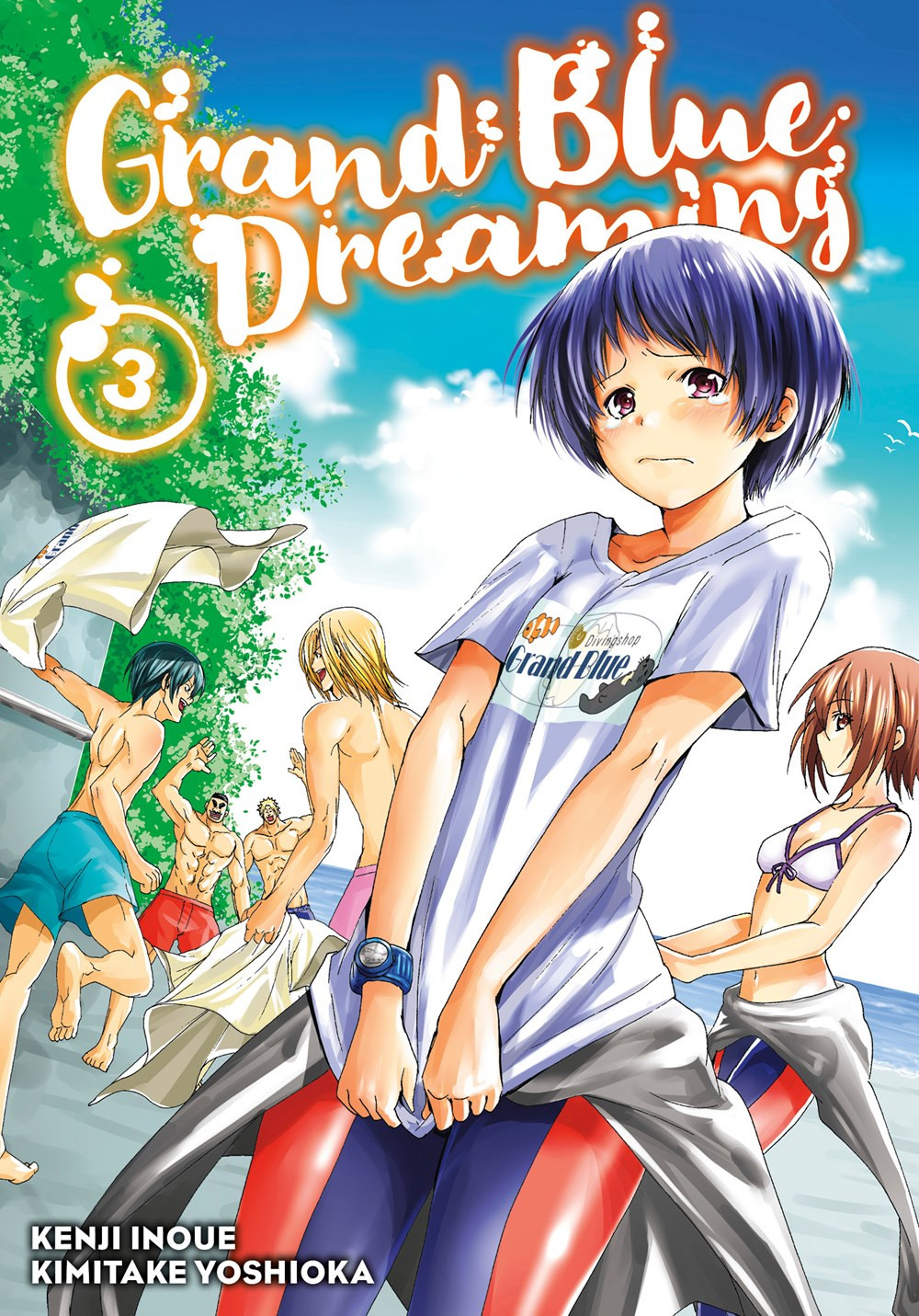 Product Image: Grand Blue Dreaming, Volume 3