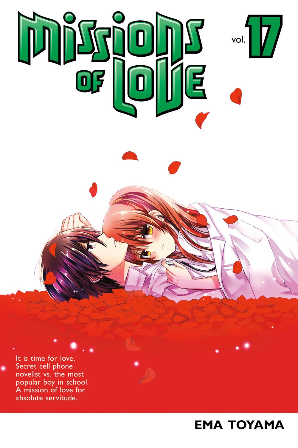 Product Image: Missions of Love, Volume 17