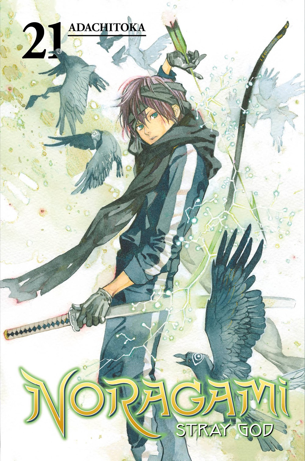 Product Image: Noragami: Stray God, Volume 21