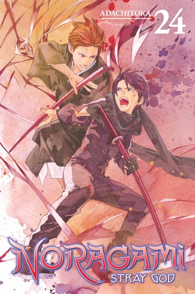 Product Image: Noragami: Stray God, Volume 24