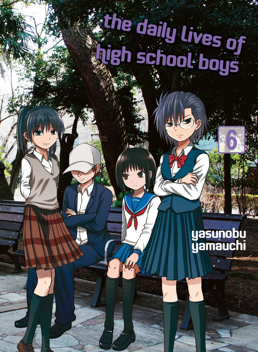 Product Image: The Daily Lives of High School Boys, Volume 6