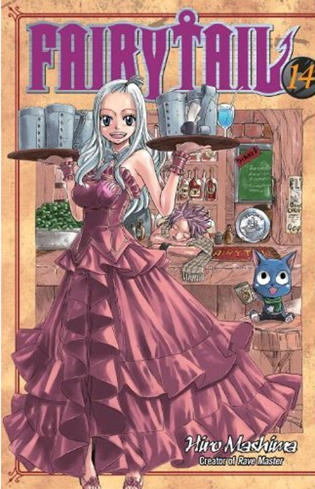 Product Image: FAIRY TAIL, Volume 14