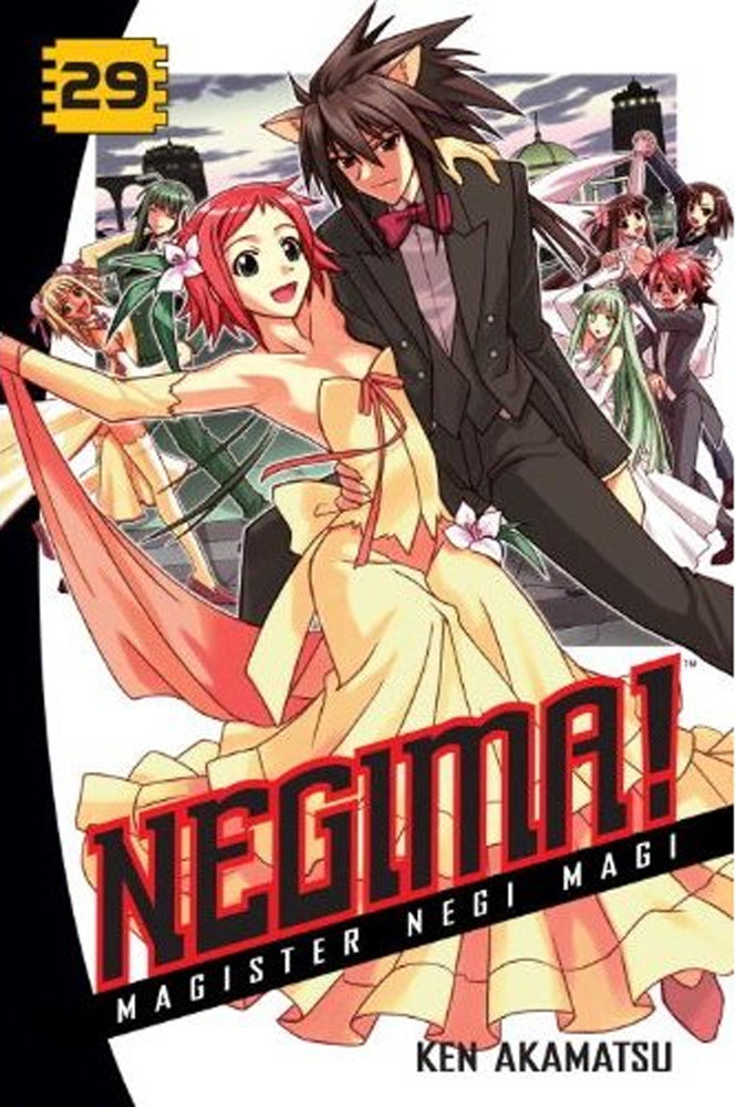 Product Image: Negima!, Volume 29