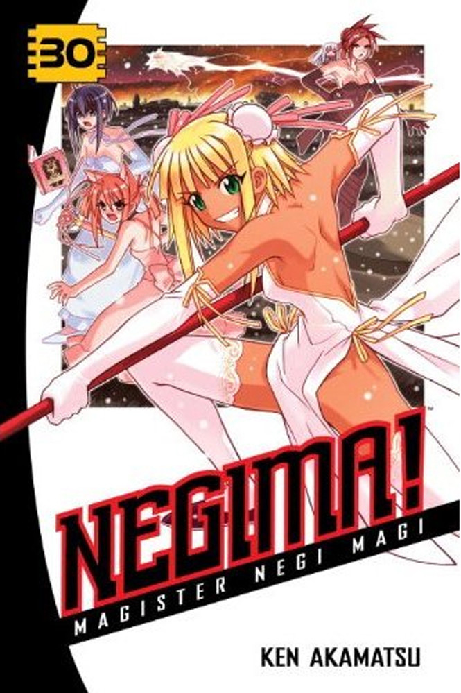 Product Image: Negima!, Volume 30