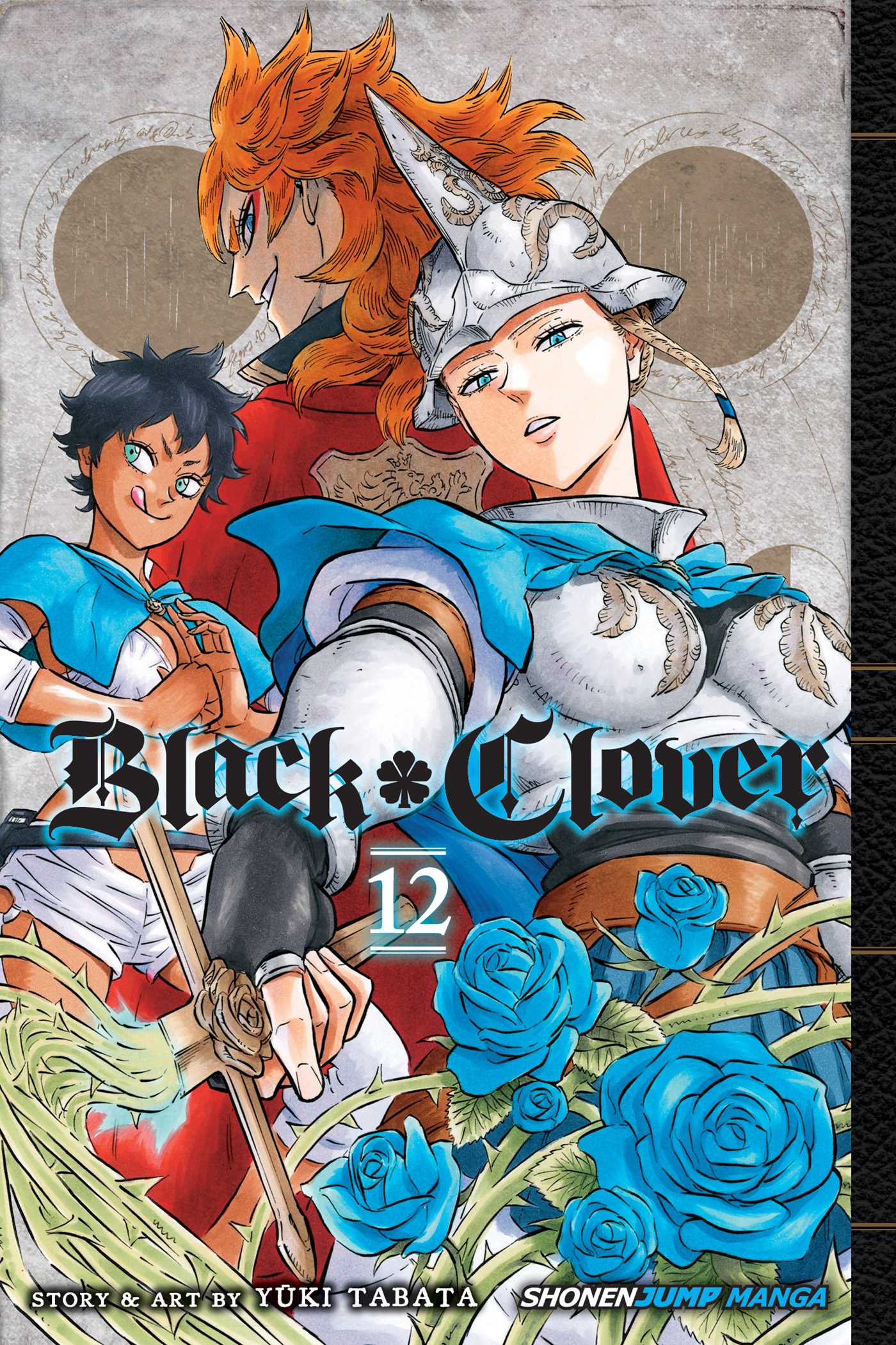 Product Image: Black Clover, Vol. 12