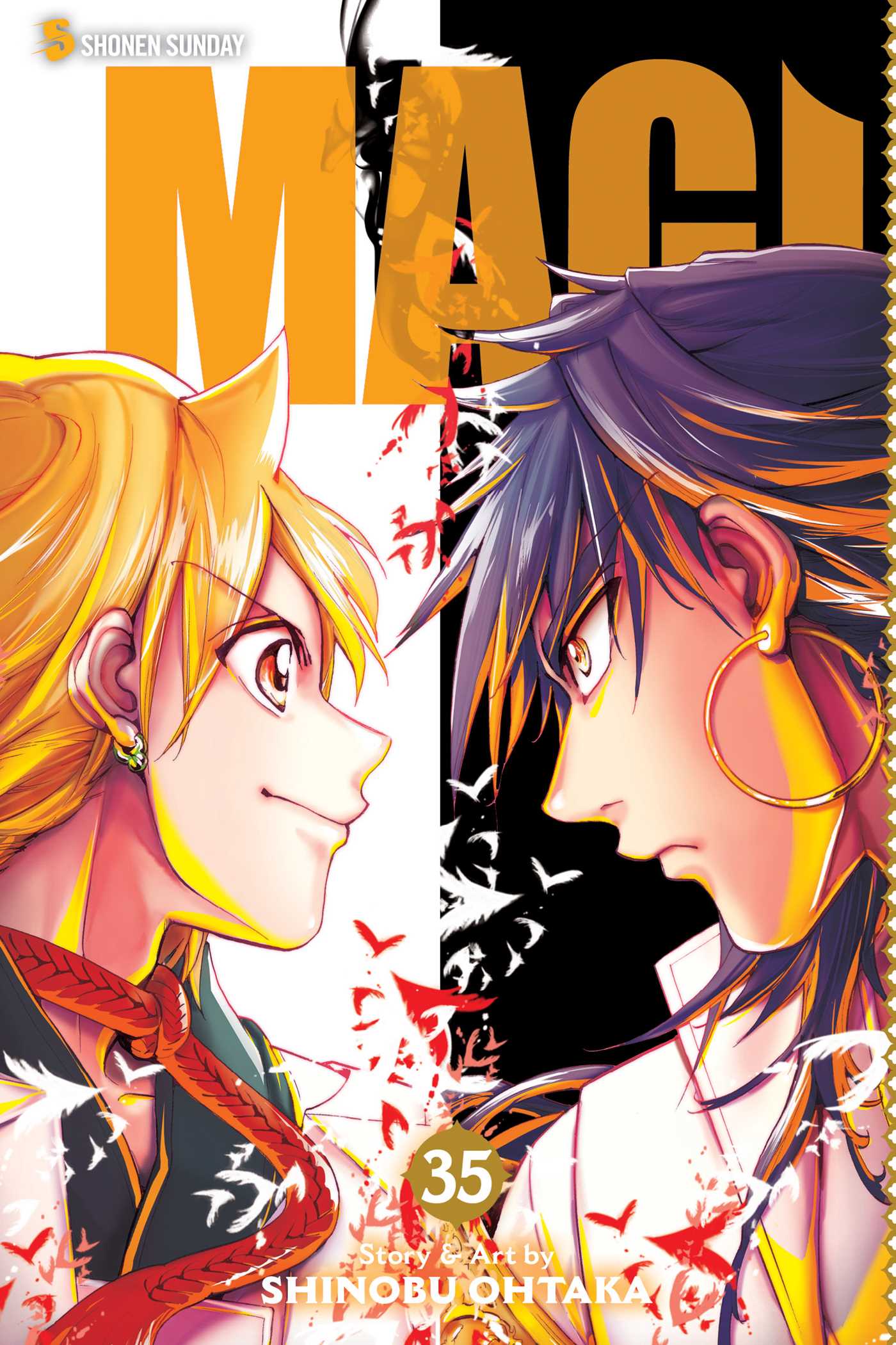 Product Image: Magi: The Labyrinth of Magic, Vol. 35