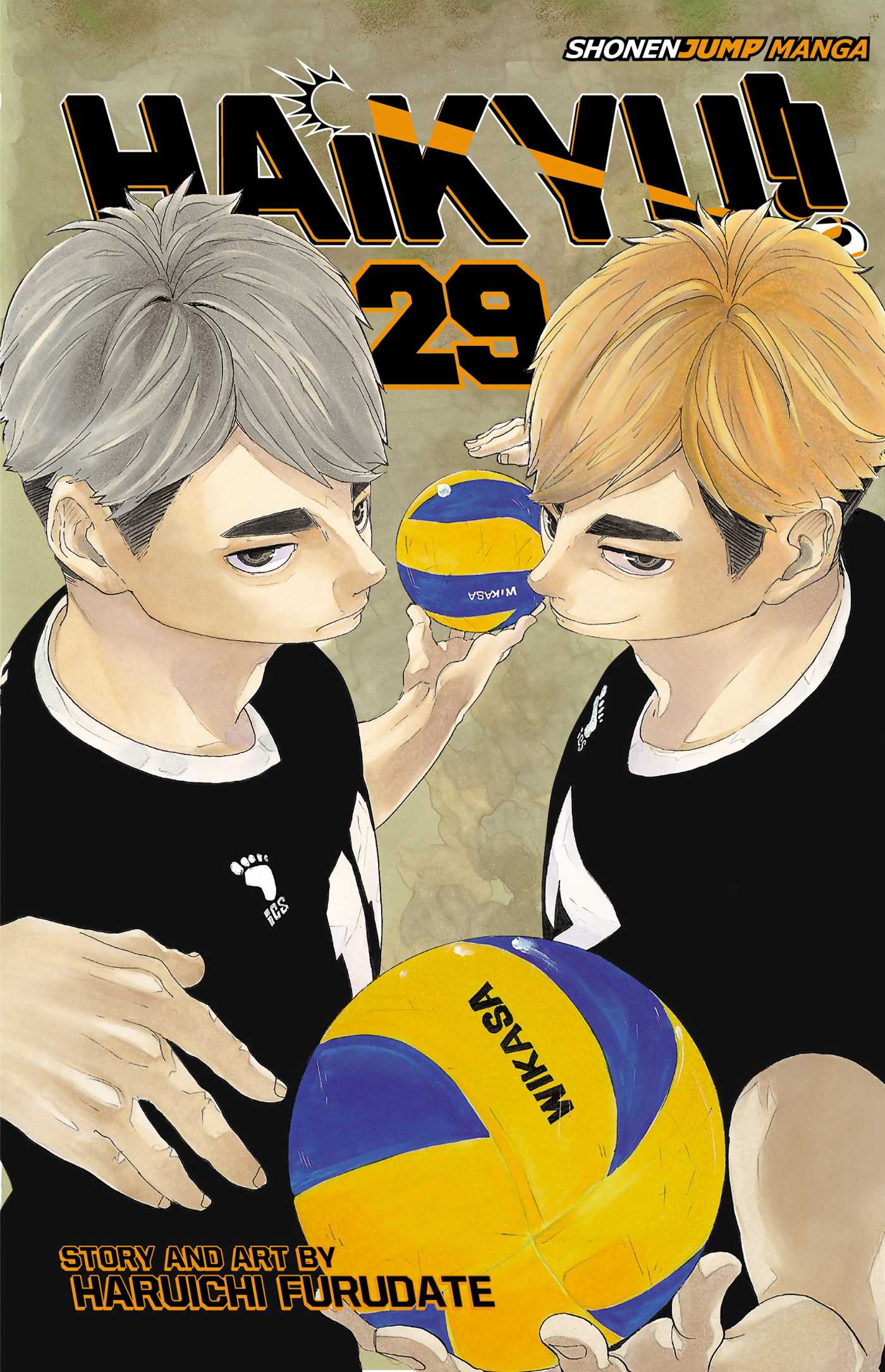 Product Image: Haikyu!!, Vol. 29