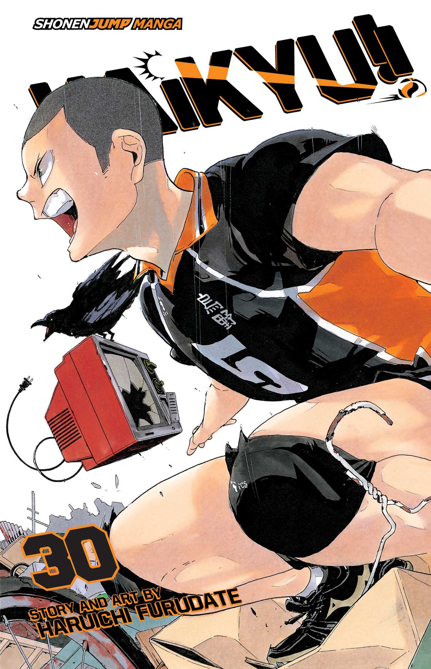 Product Image: Haikyu!!, Vol. 30
