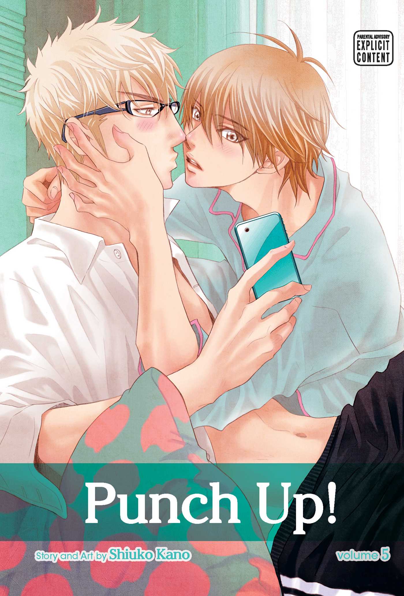 Product Image: Punch Up!, Vol. 5