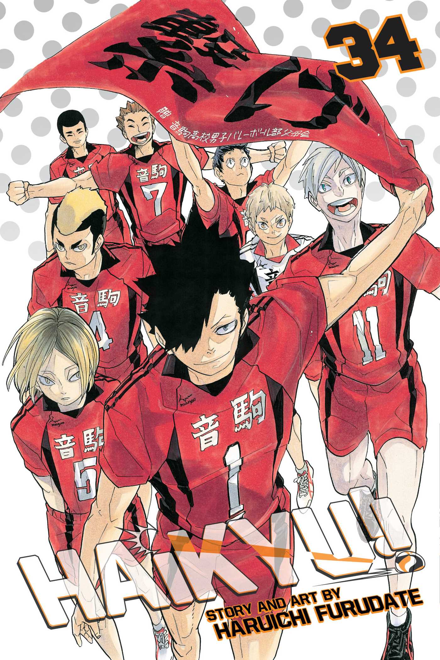 Product Image: Haikyu!!, Vol. 34