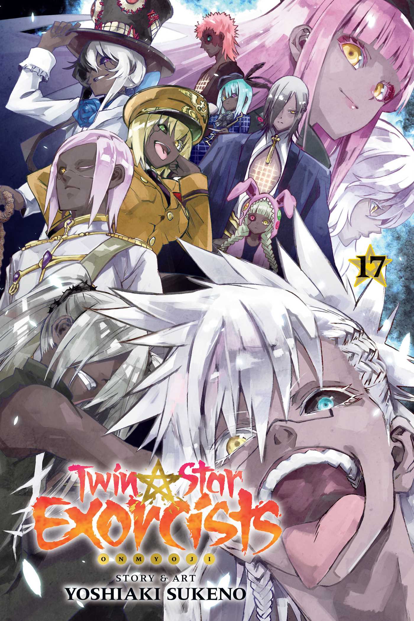 Product Image: Twin Star Exorcists, Vol. 17