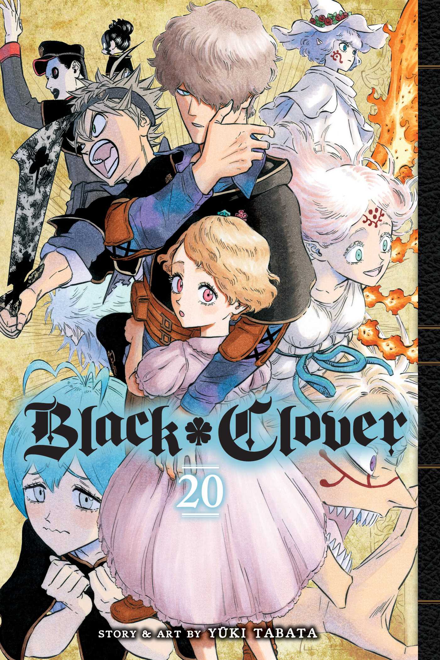 Product Image: Black Clover, Vol. 20