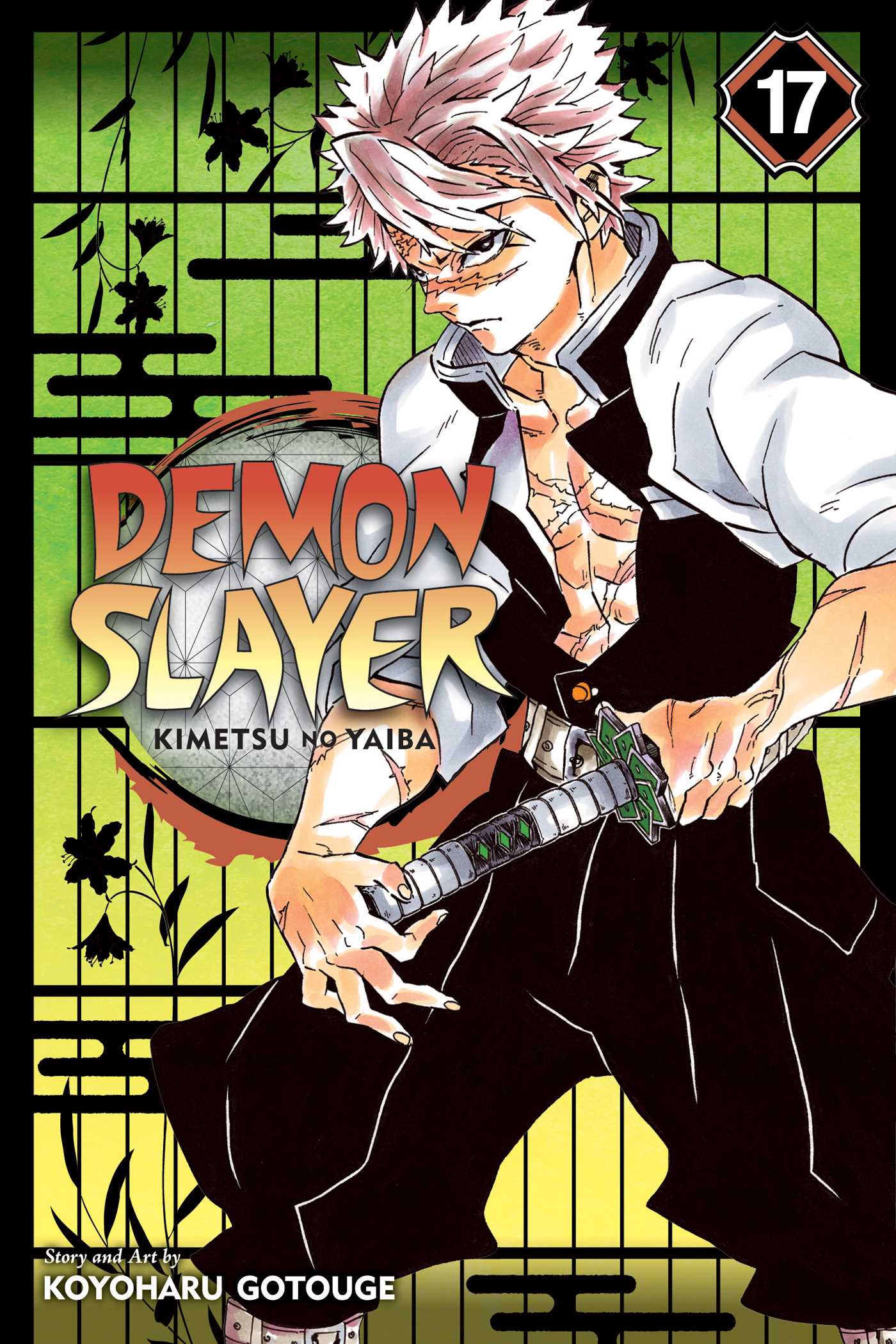 Product Image: Demon Slayer: Kimetsu no Yaiba, Vol. 17