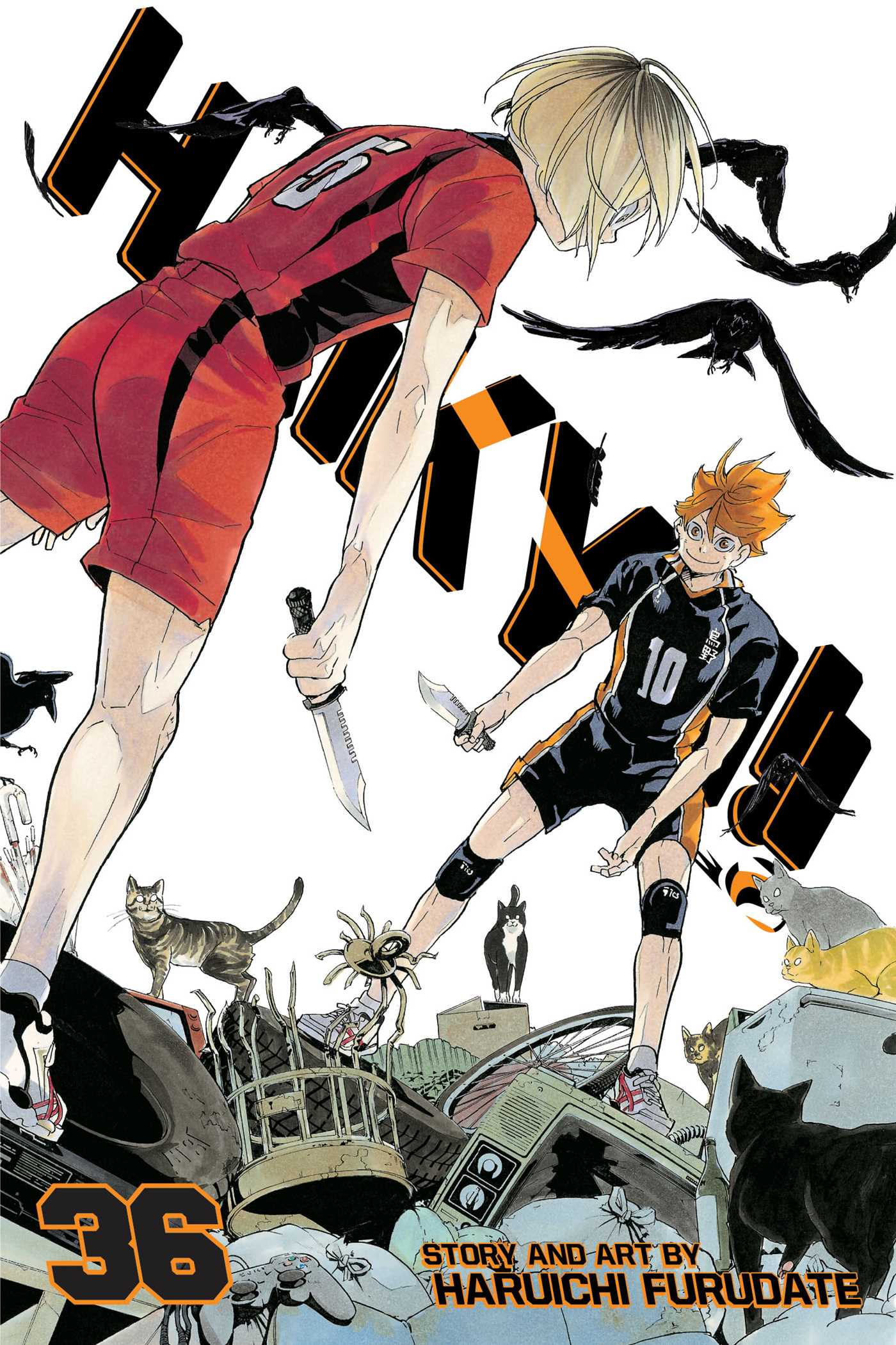 Product Image: Haikyu!!, Vol. 36