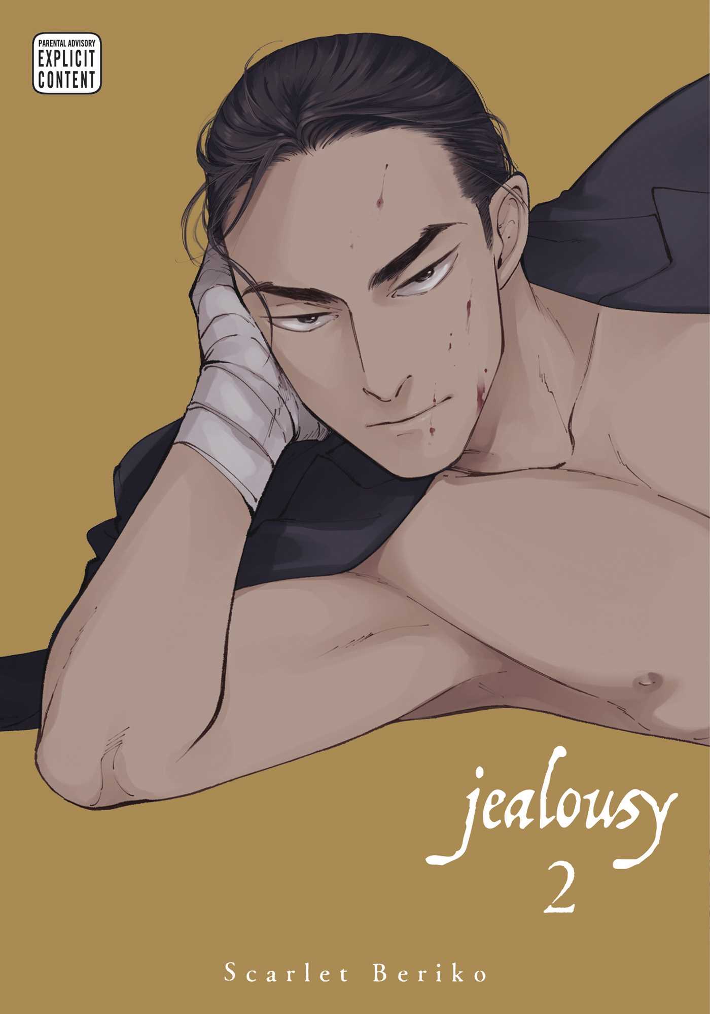 Product Image: Jealousy, Vol. 2