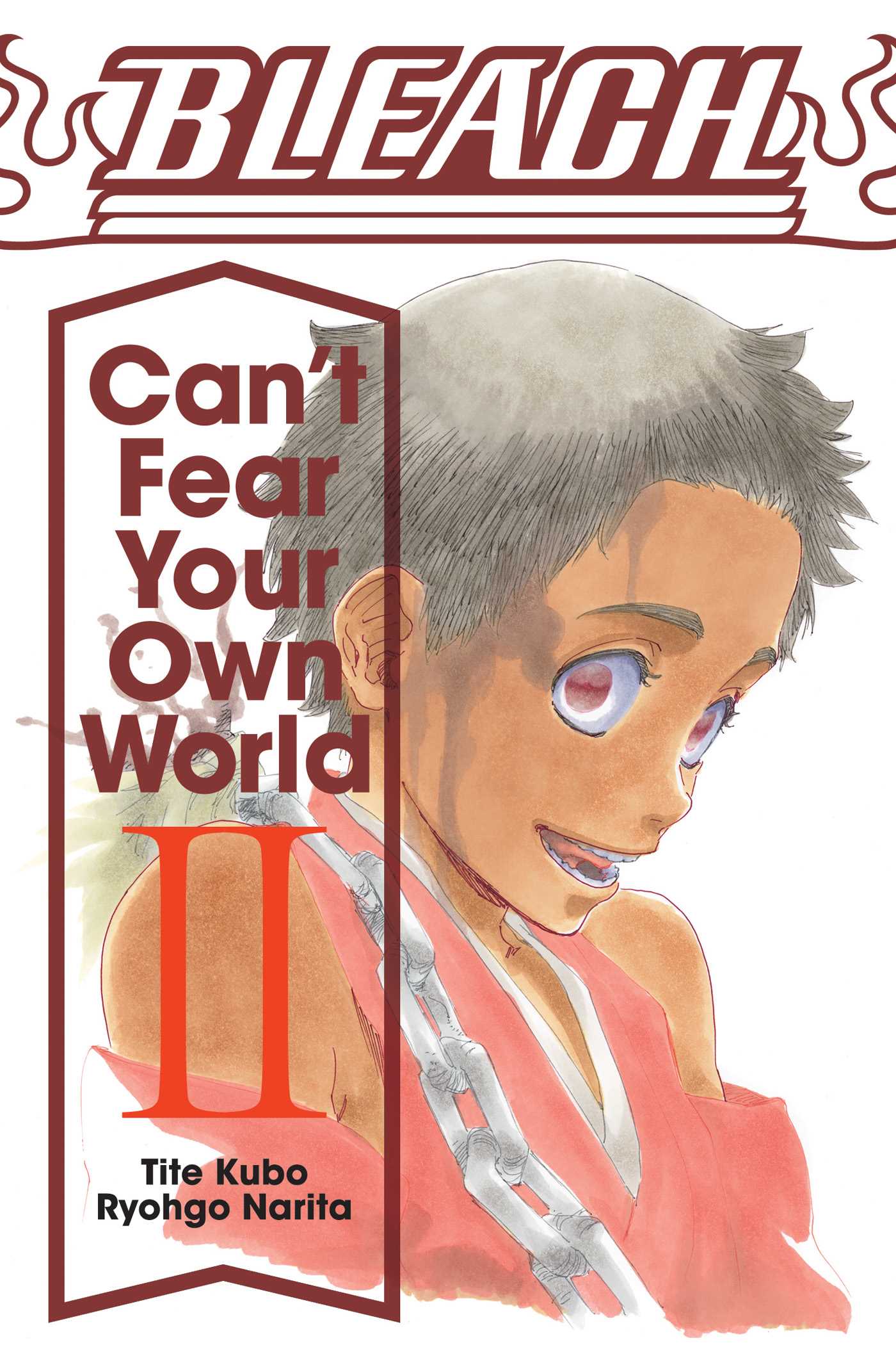 Product Image: Bleach: Can't Fear Your Own World, Vol. 2