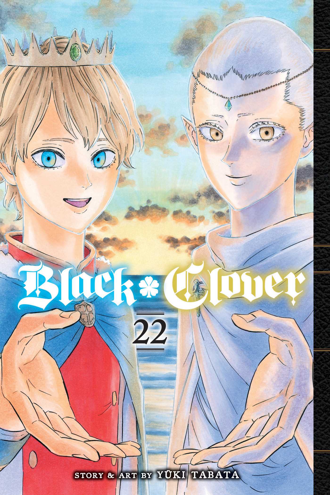 Product Image: Black Clover, Vol. 22