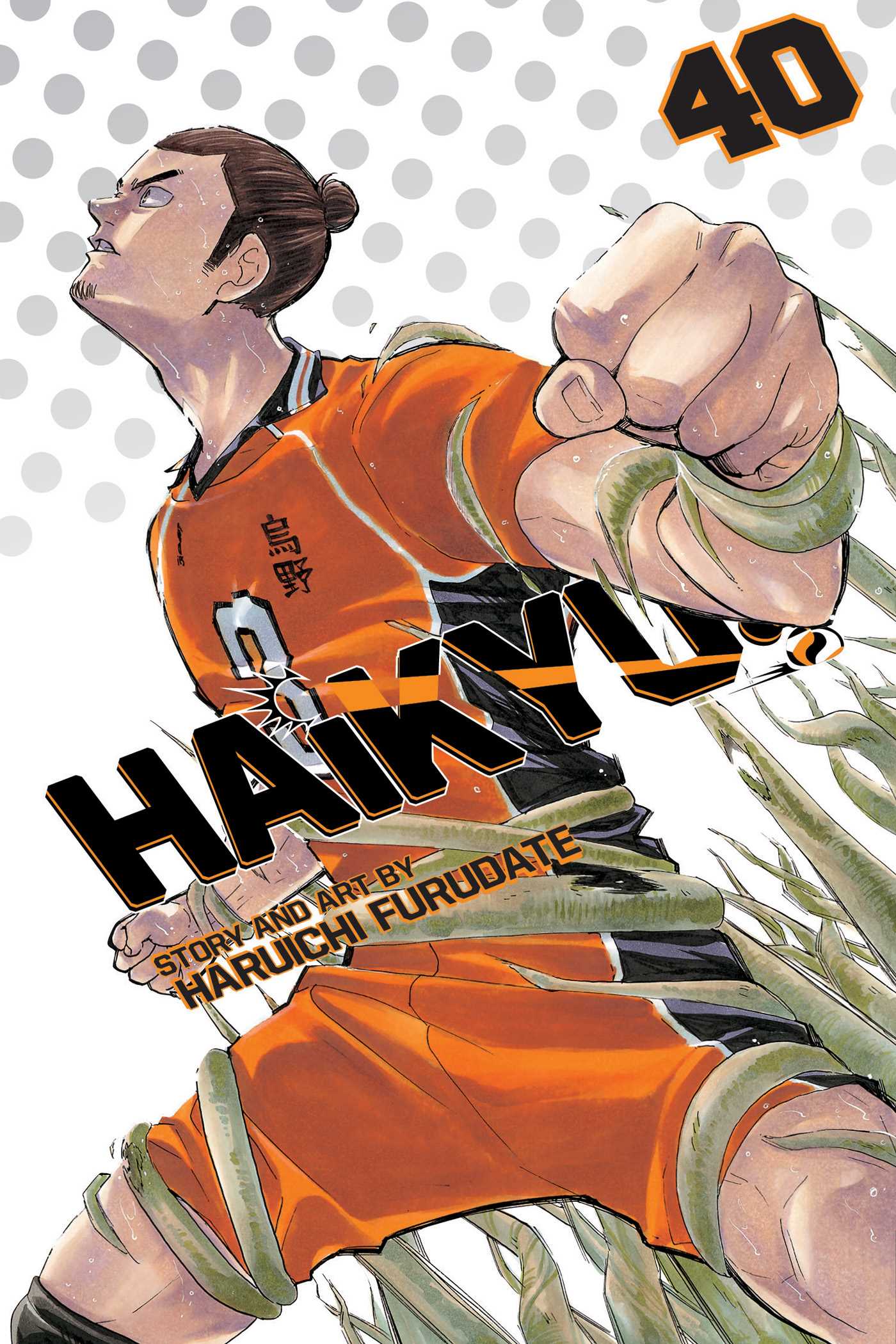 Product Image: Haikyu!!, Vol. 40