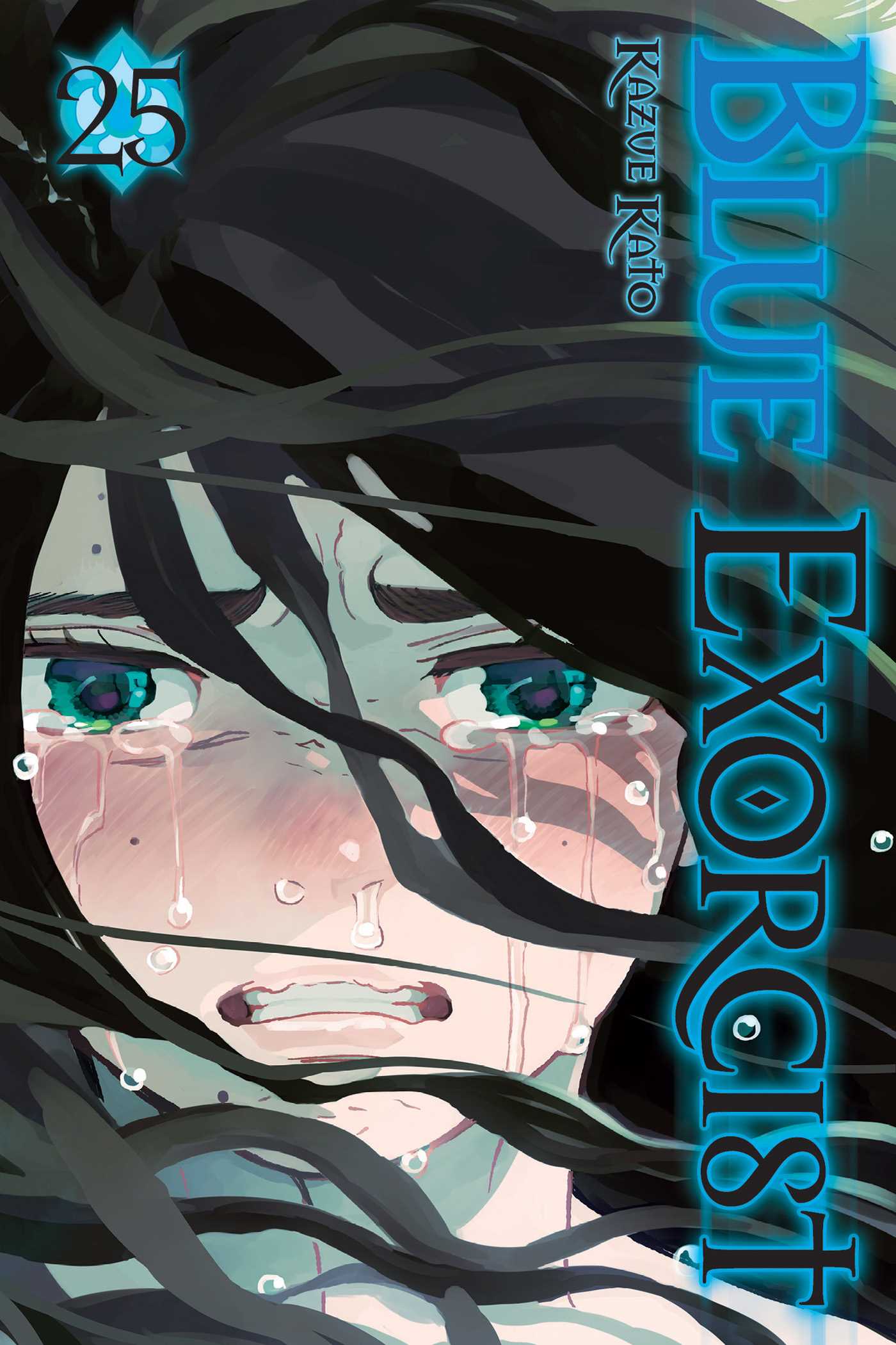 Product Image: Blue Exorcist, Vol. 25