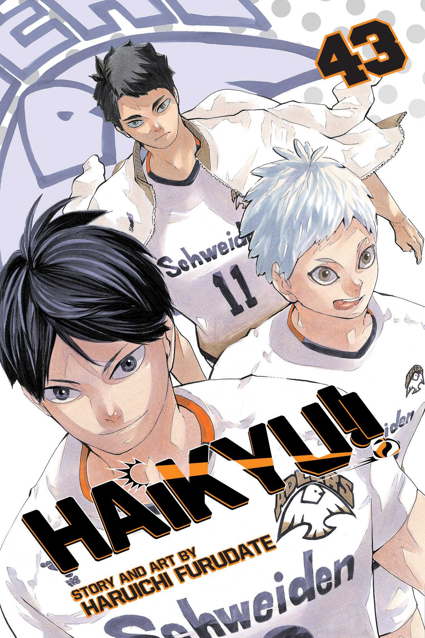 Product Image: Haikyu!!, Vol. 43