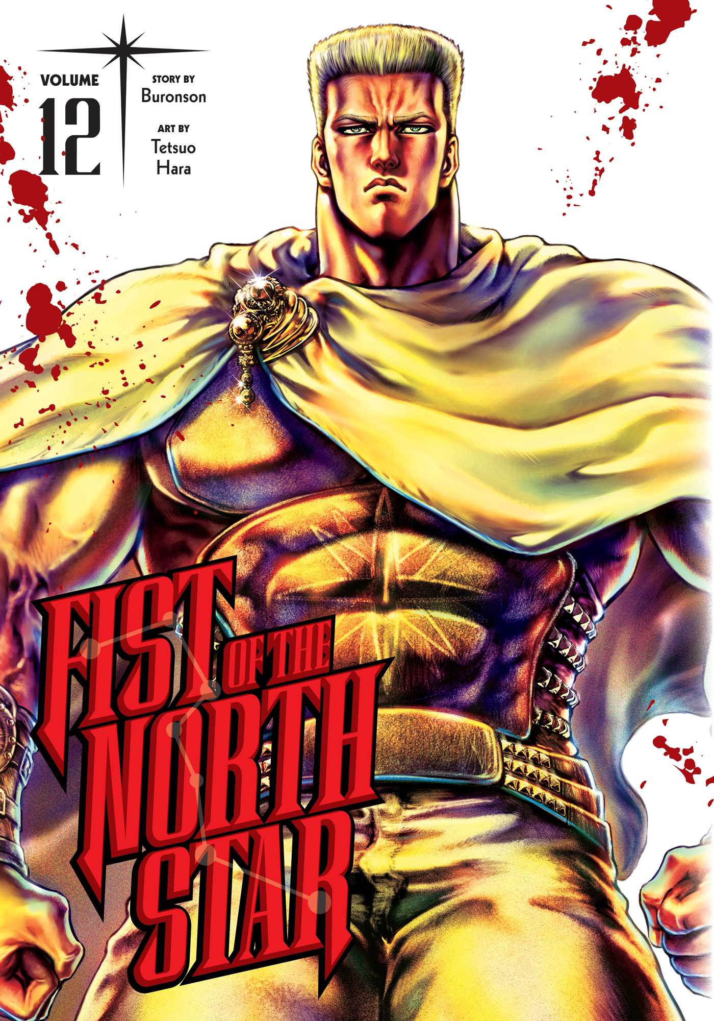 Product Image: Fist of the North Star, Vol. 12