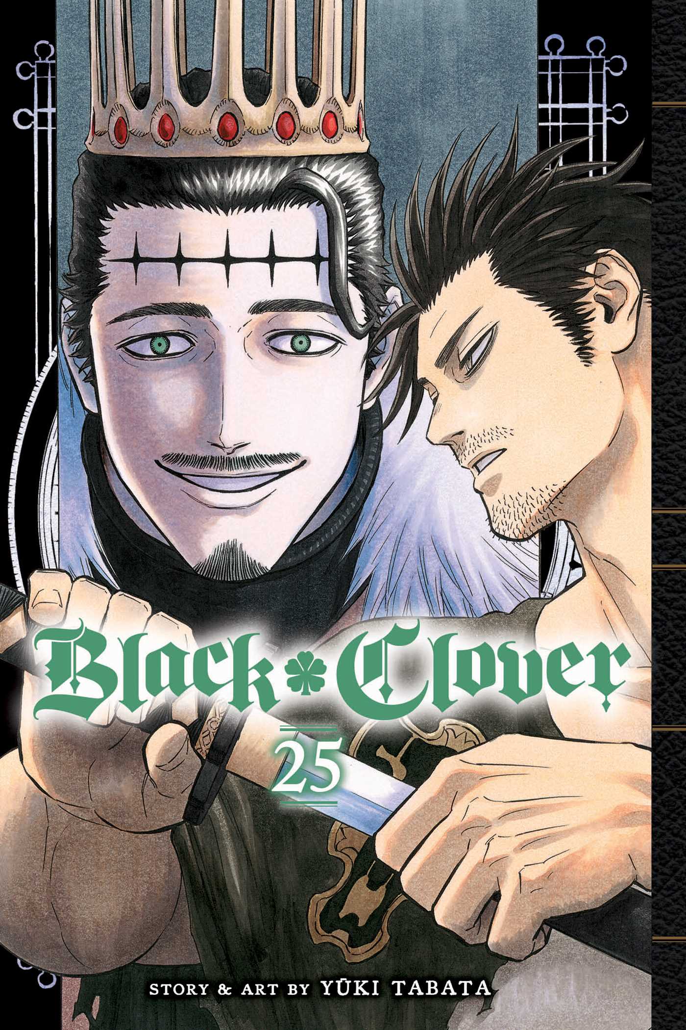 Product Image: Black Clover, Vol. 25