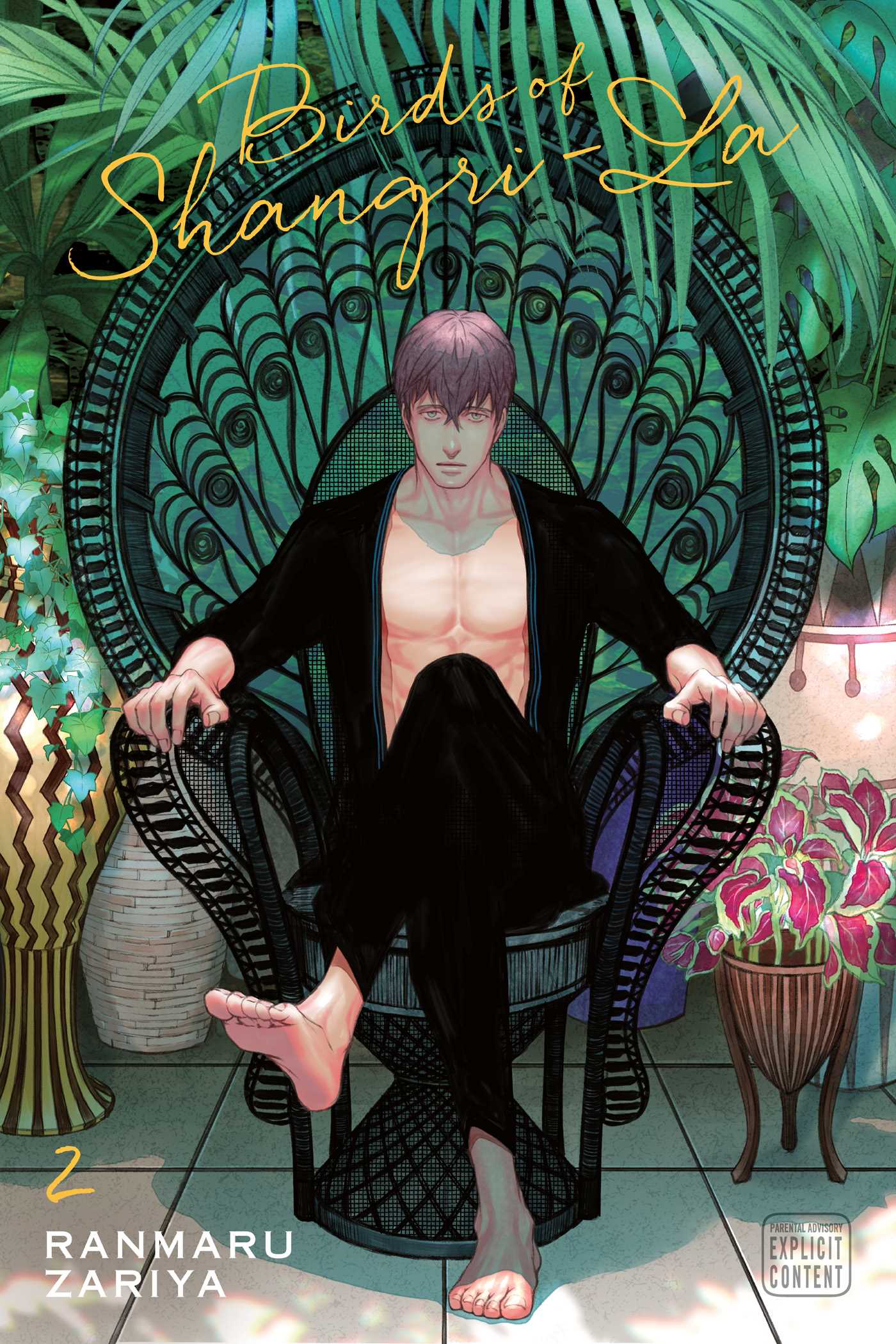 Product Image: Birds of Shangri-La, Vol. 2