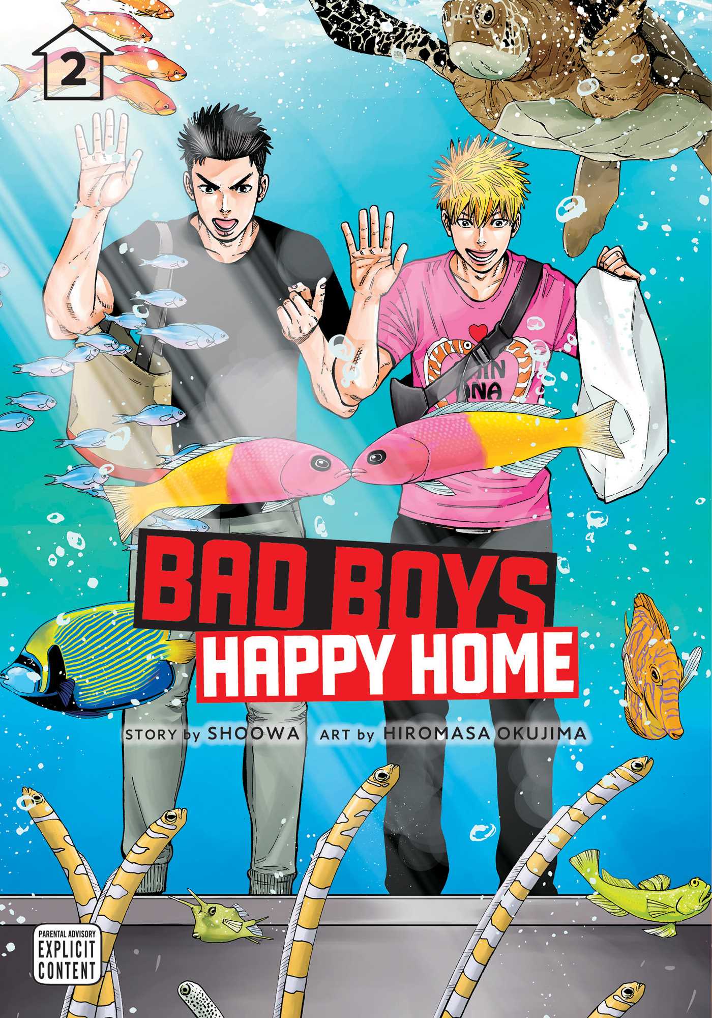 Product Image: Bad Boys, Happy Home, Vol. 2