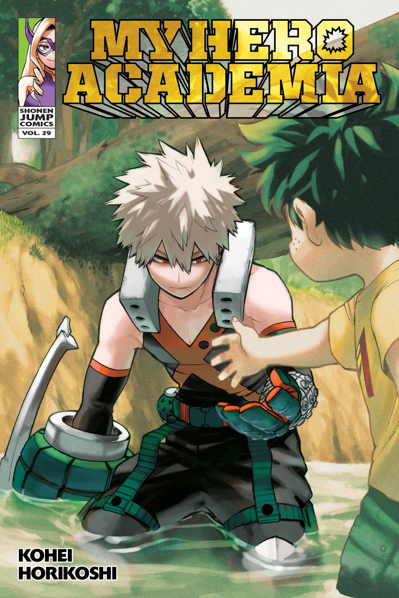 Product Image: My Hero Academia, Vol. 29