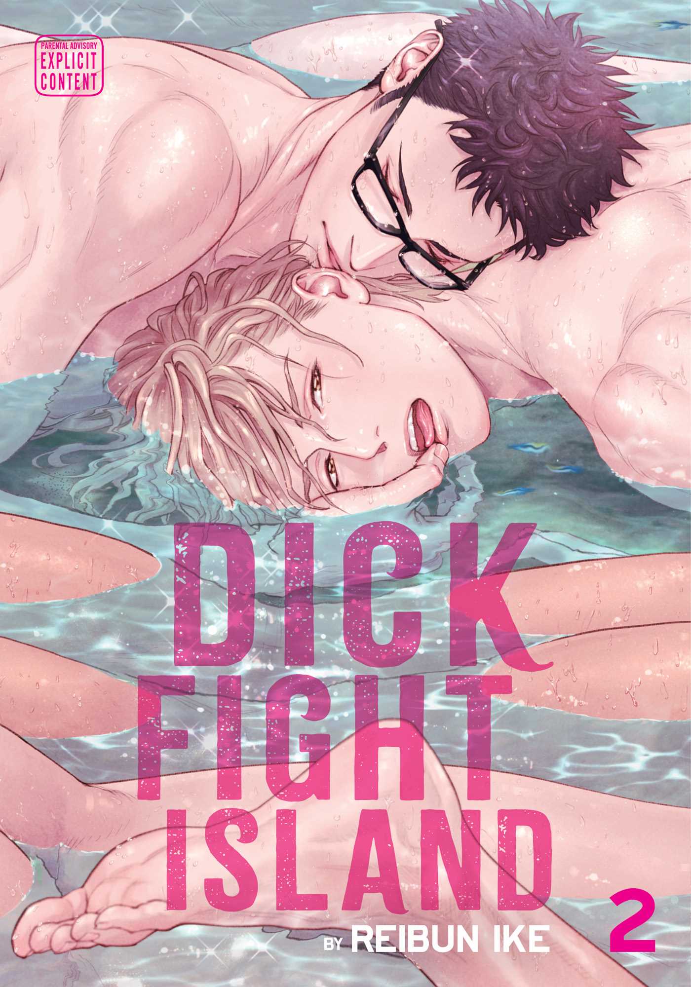 Product Image: Dick Fight Island, Vol. 2