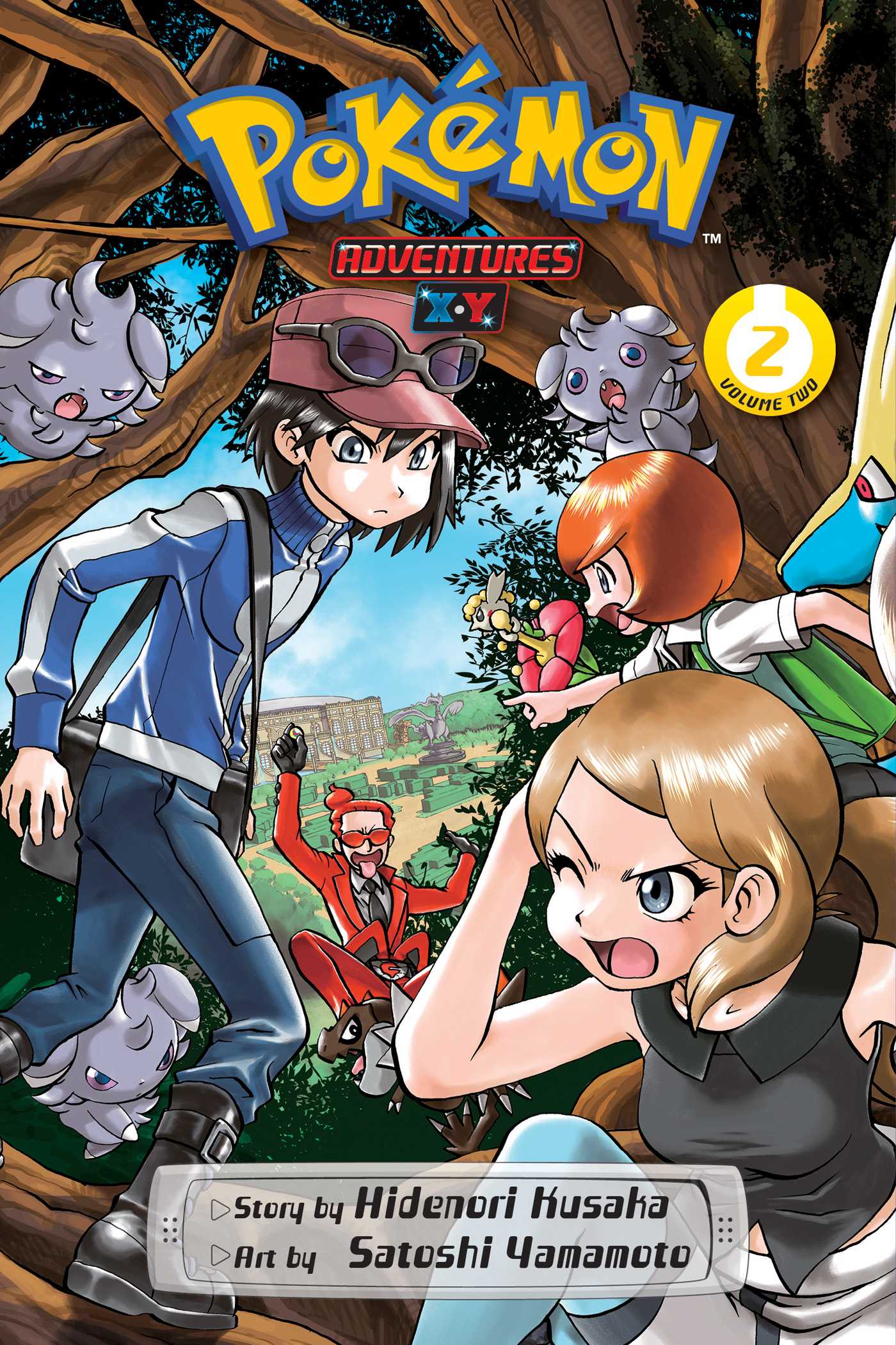 Product Image: Pokémon Adventures: X•Y, Vol. 2