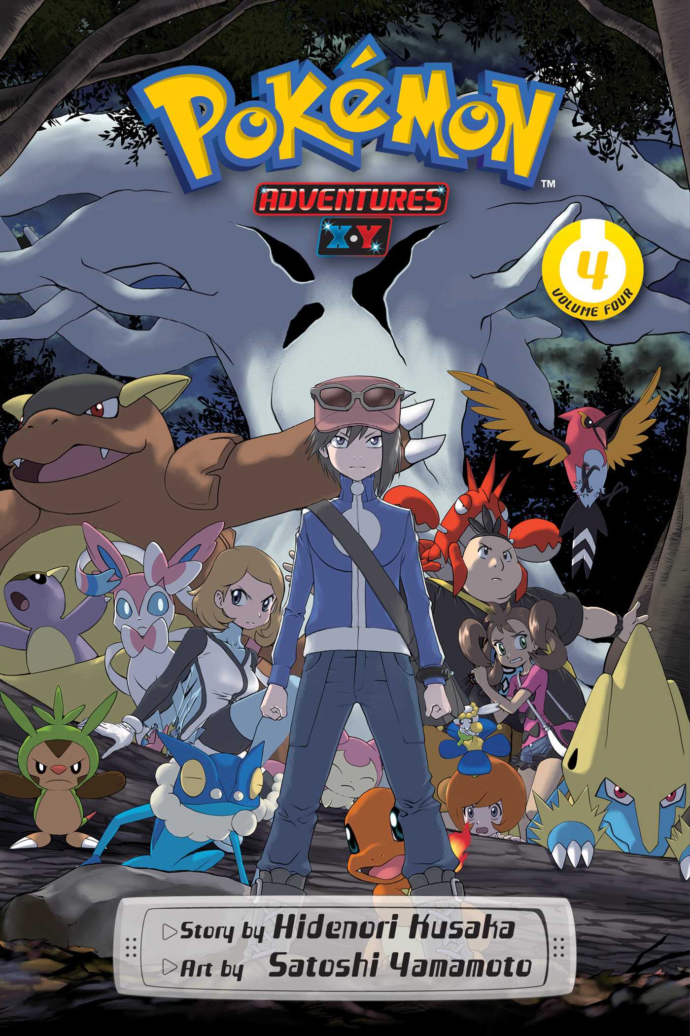 Product Image: Pokémon Adventures: X•Y, Vol. 4