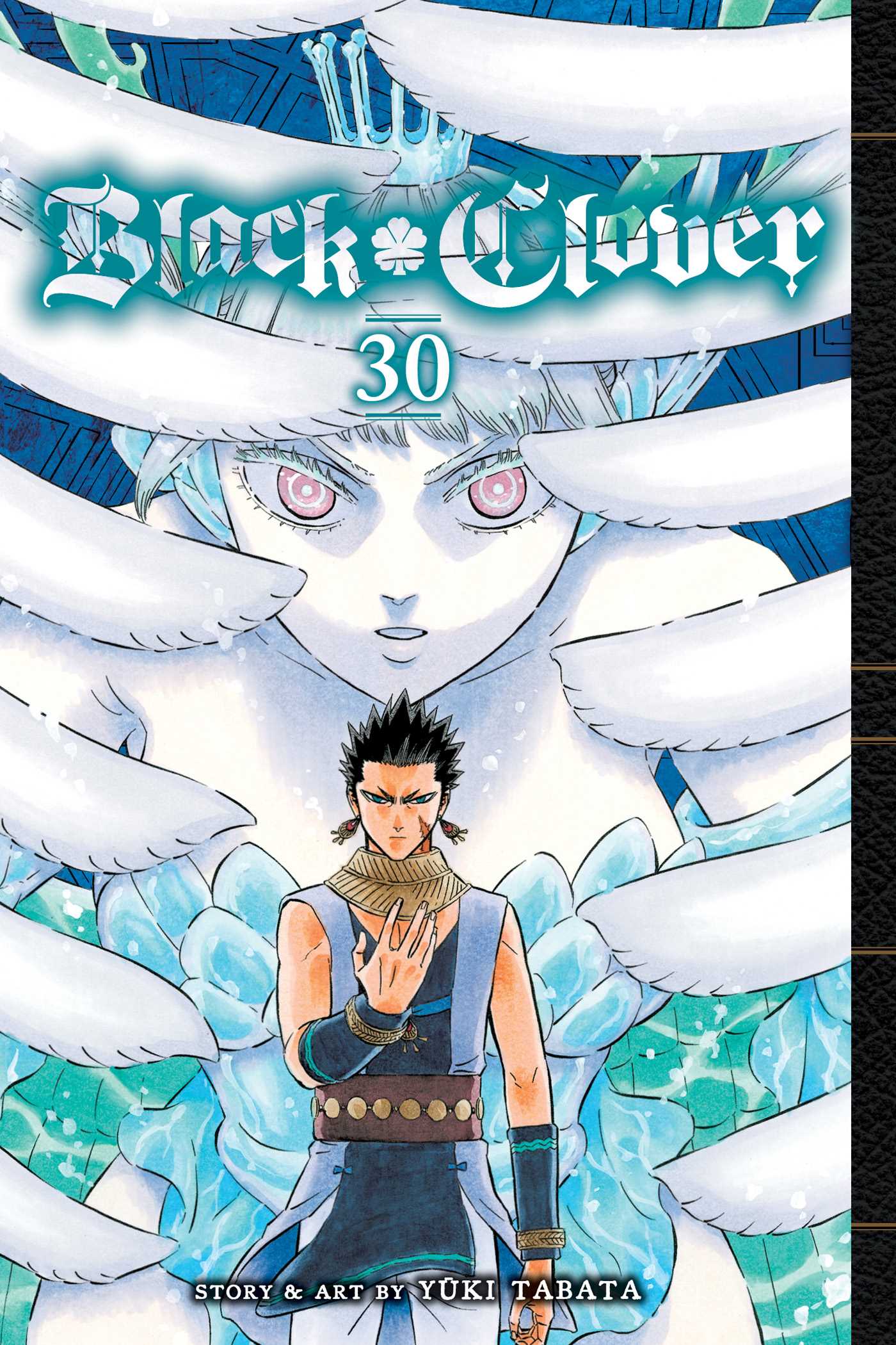 Product Image: Black Clover, Vol. 30