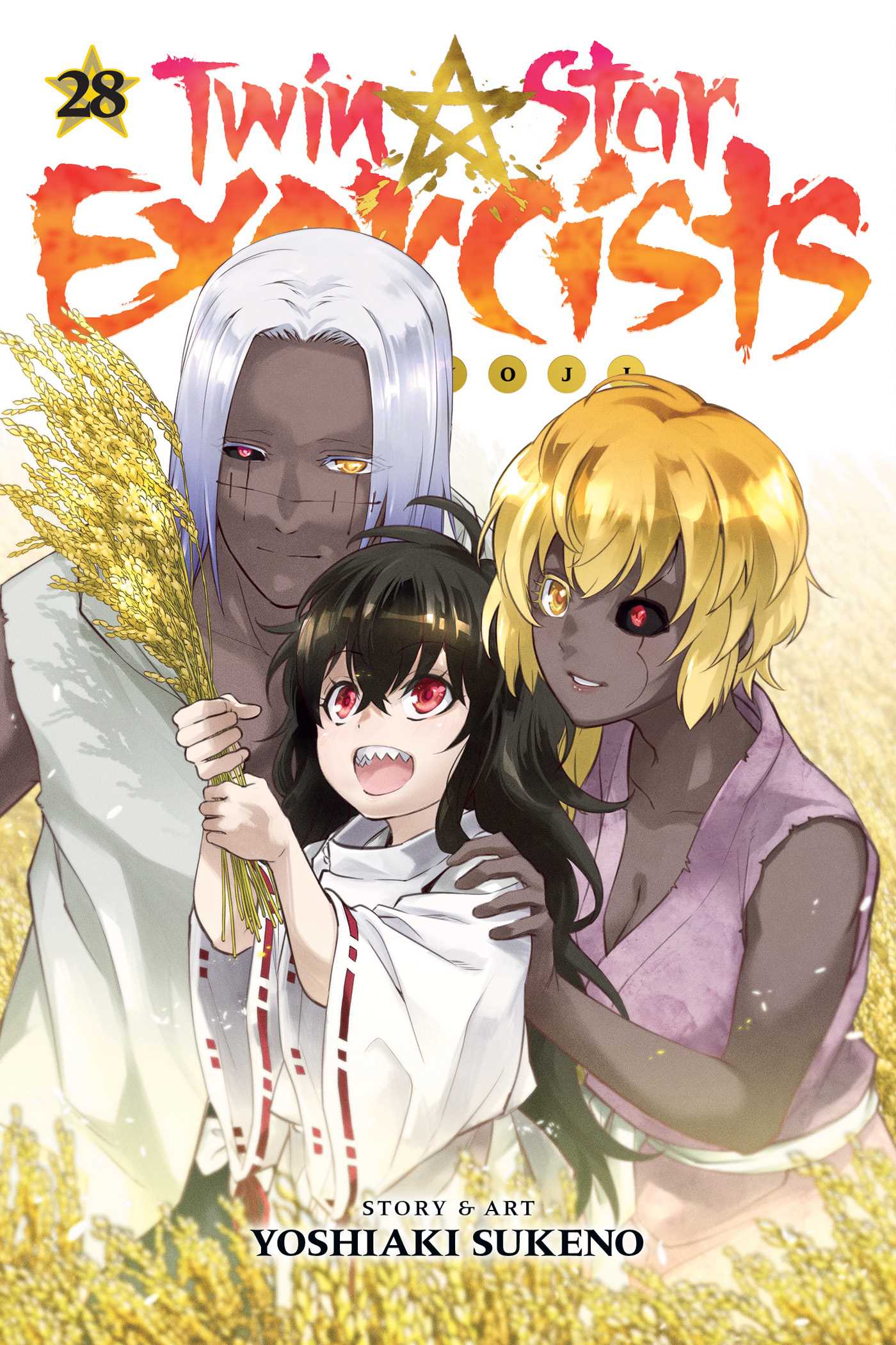 Product Image: Twin Star Exorcists, Vol. 28