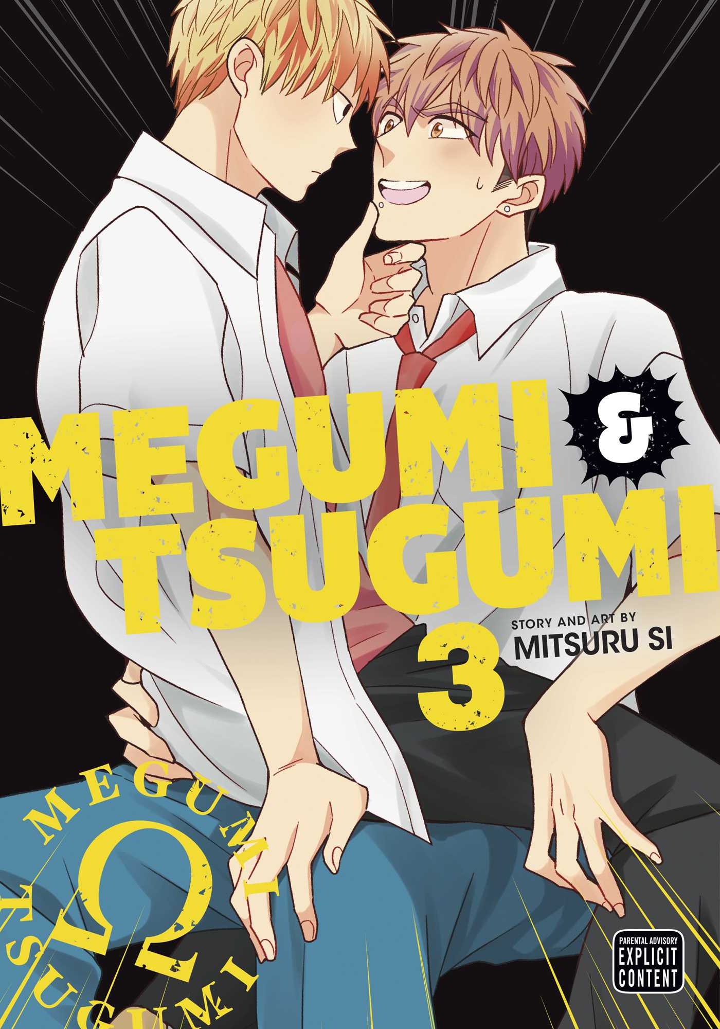 Product Image: Megumi & Tsugumi, Vol. 3