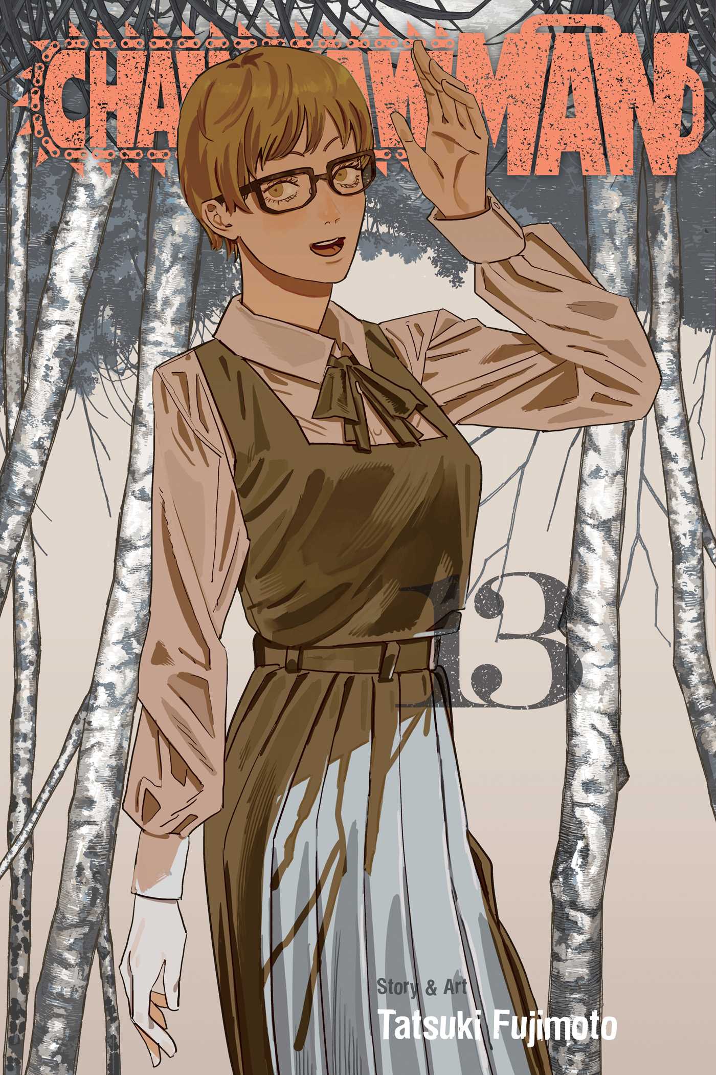 Product Image: Chainsaw Man, Vol. 13