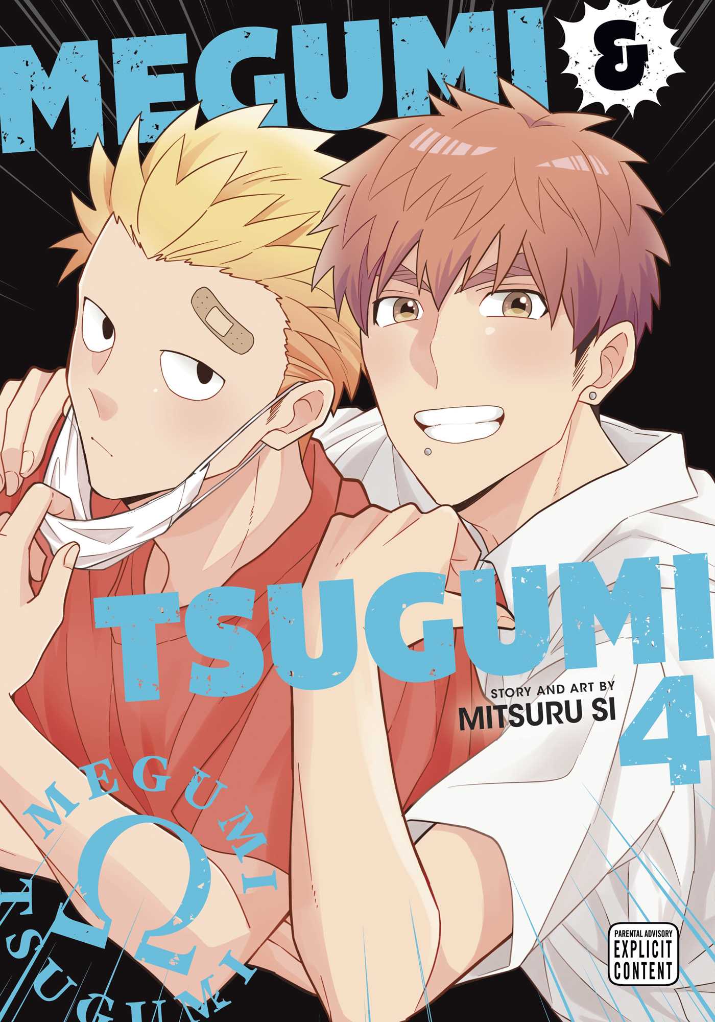 Product Image: Megumi & Tsugumi, Vol. 4