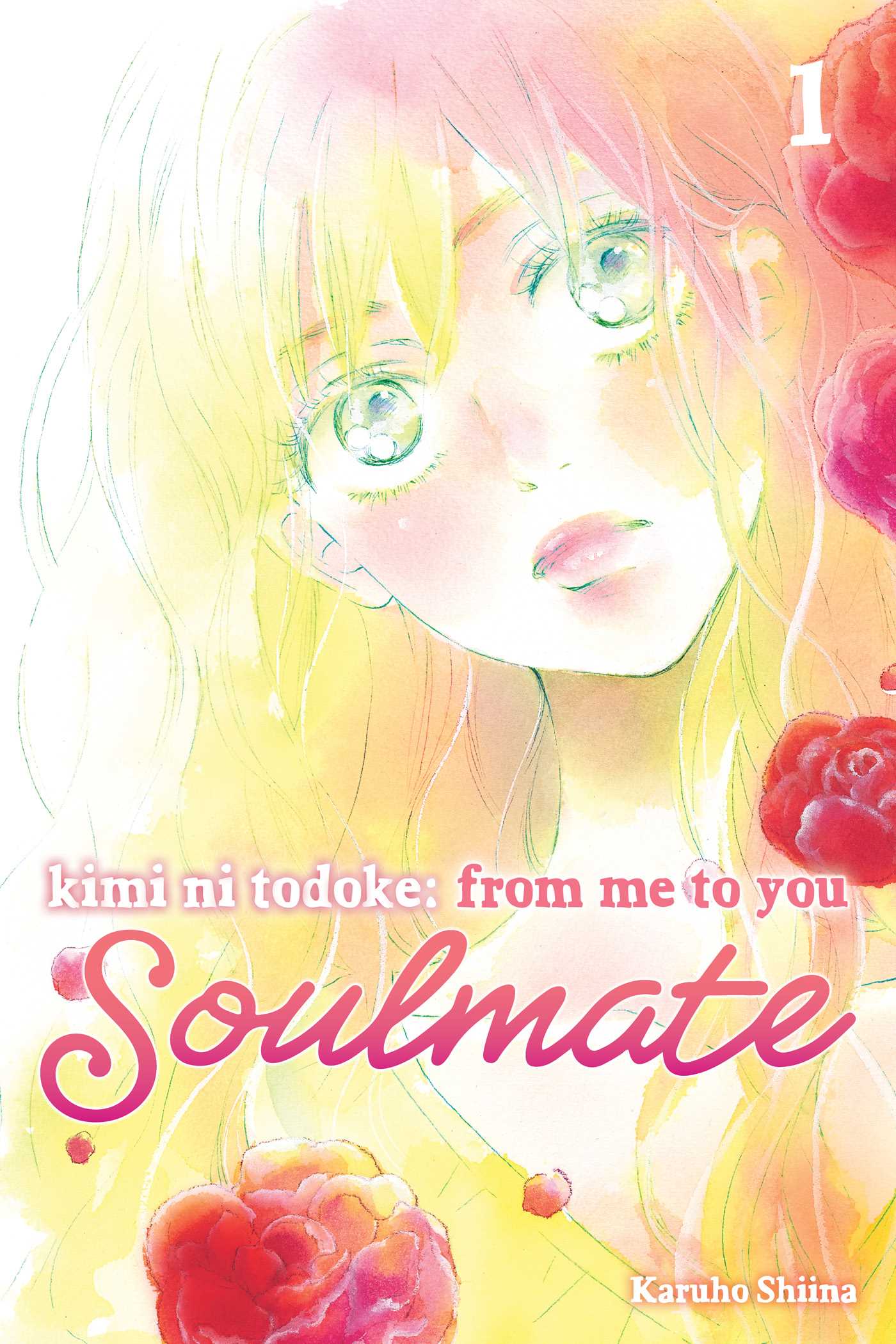 Product Image: Kimi ni Todoke: From Me to You: Soulmate, Vol. 1
