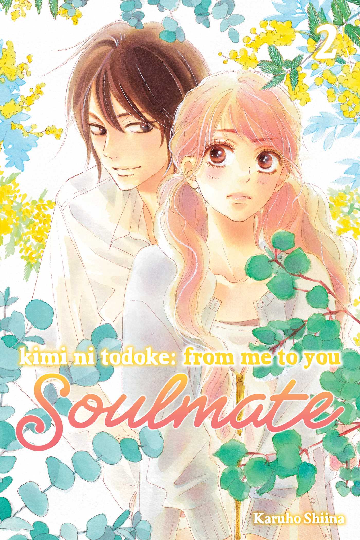 Product Image: Kimi ni Todoke: From Me to You: Soulmate, Vol. 2