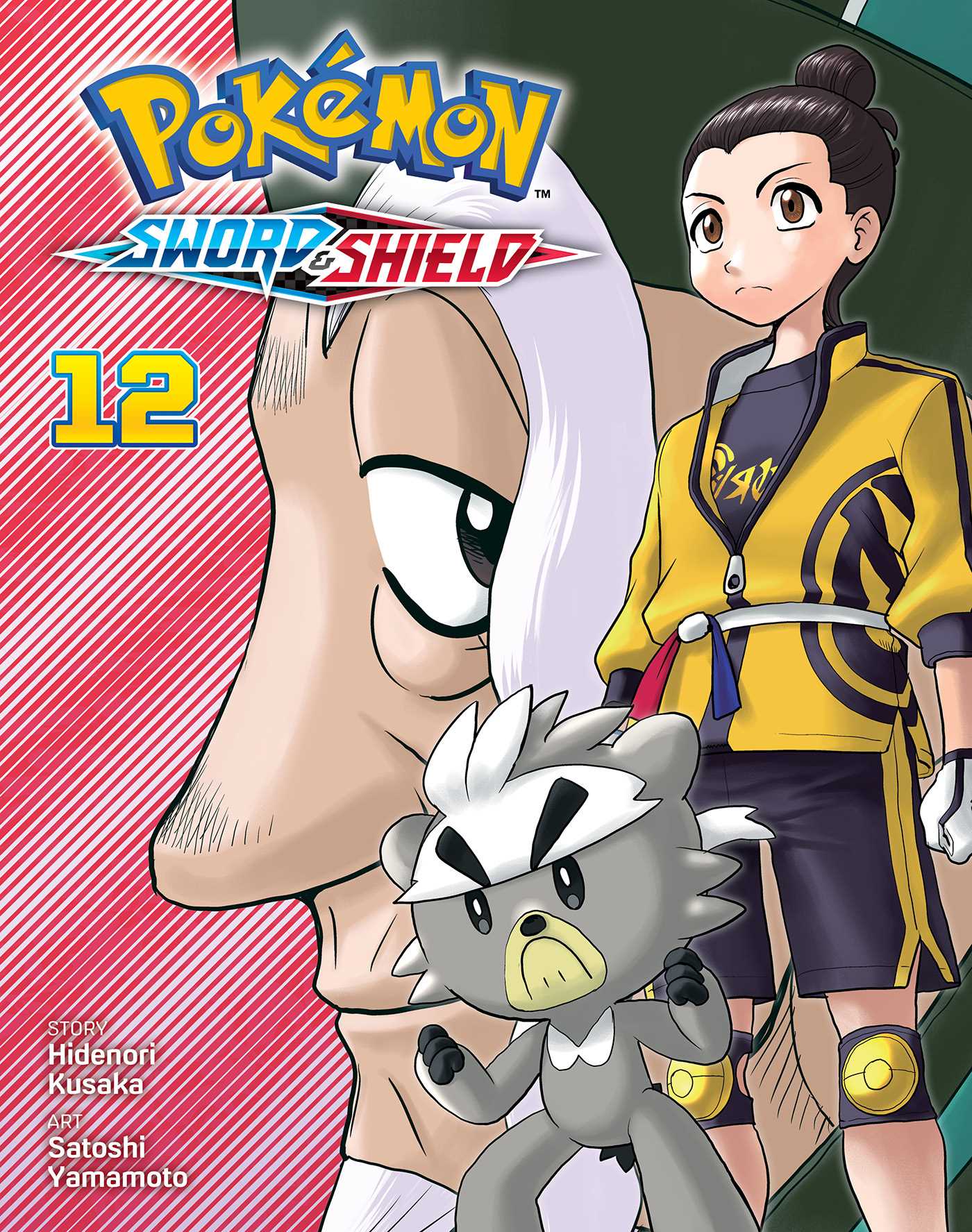 Product Image: Pokémon: Sword & Shield, Vol. 12