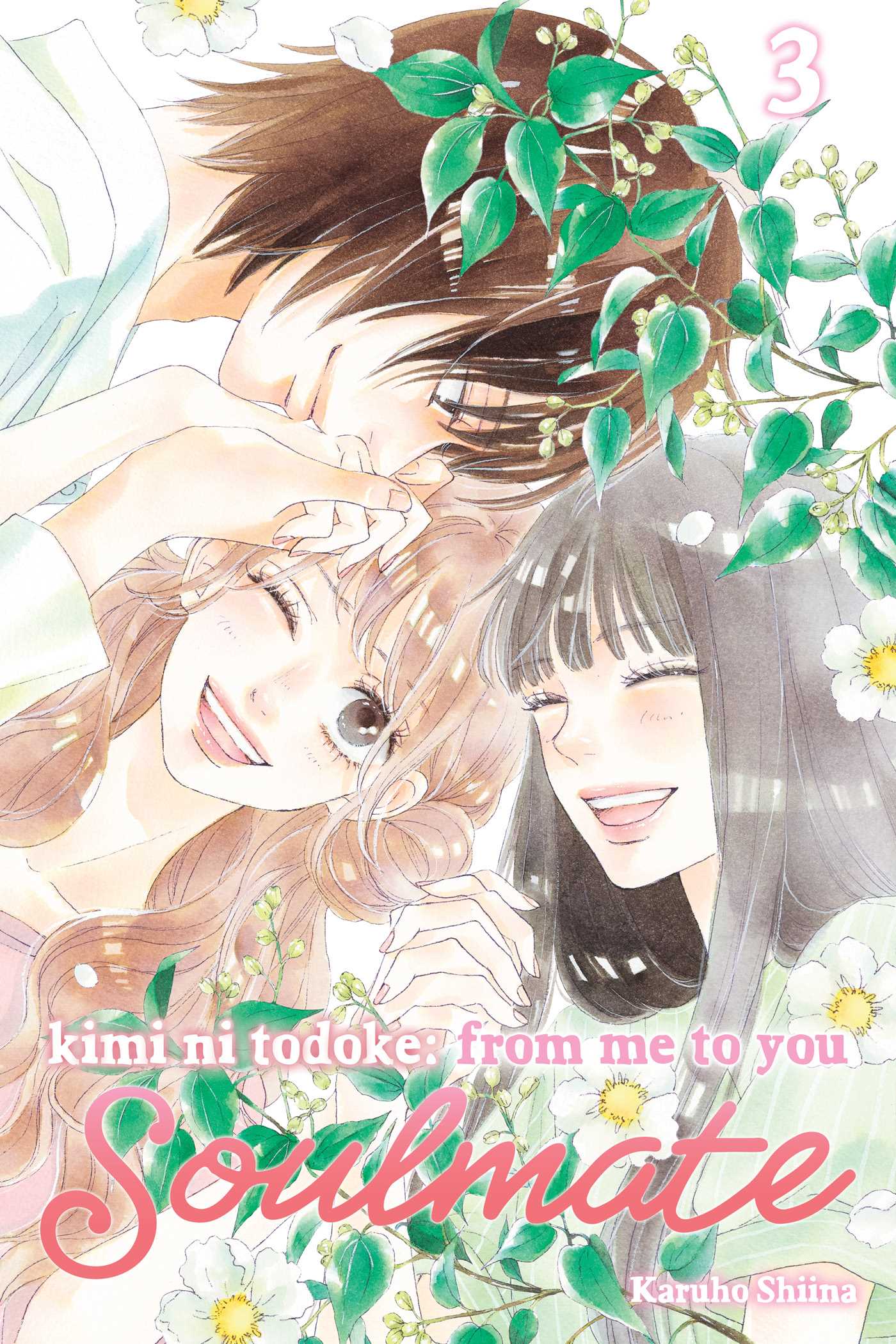 Product Image: Kimi ni Todoke: From Me to You: Soulmate, Vol. 3