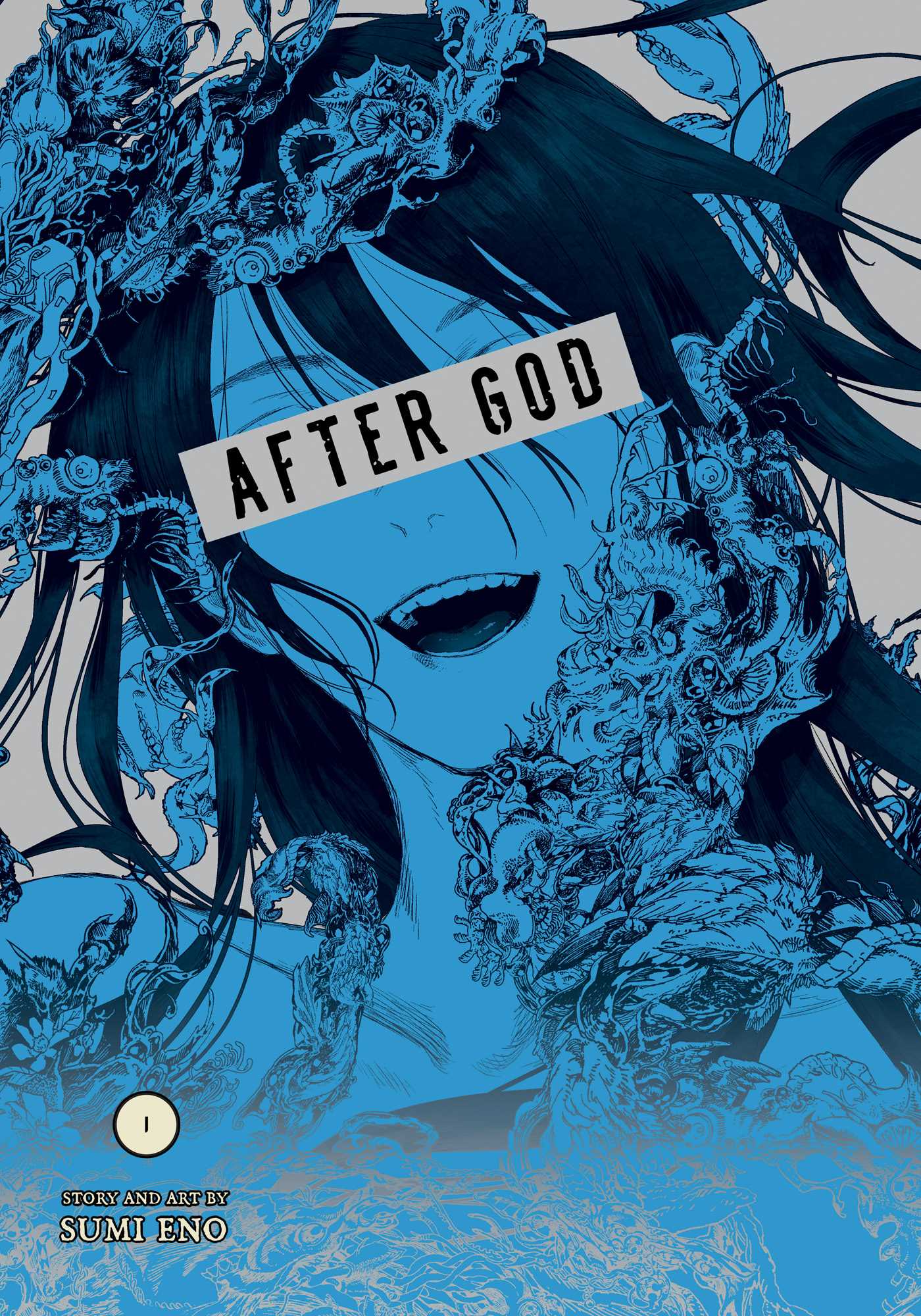 Product Image: After God, Vol. 1