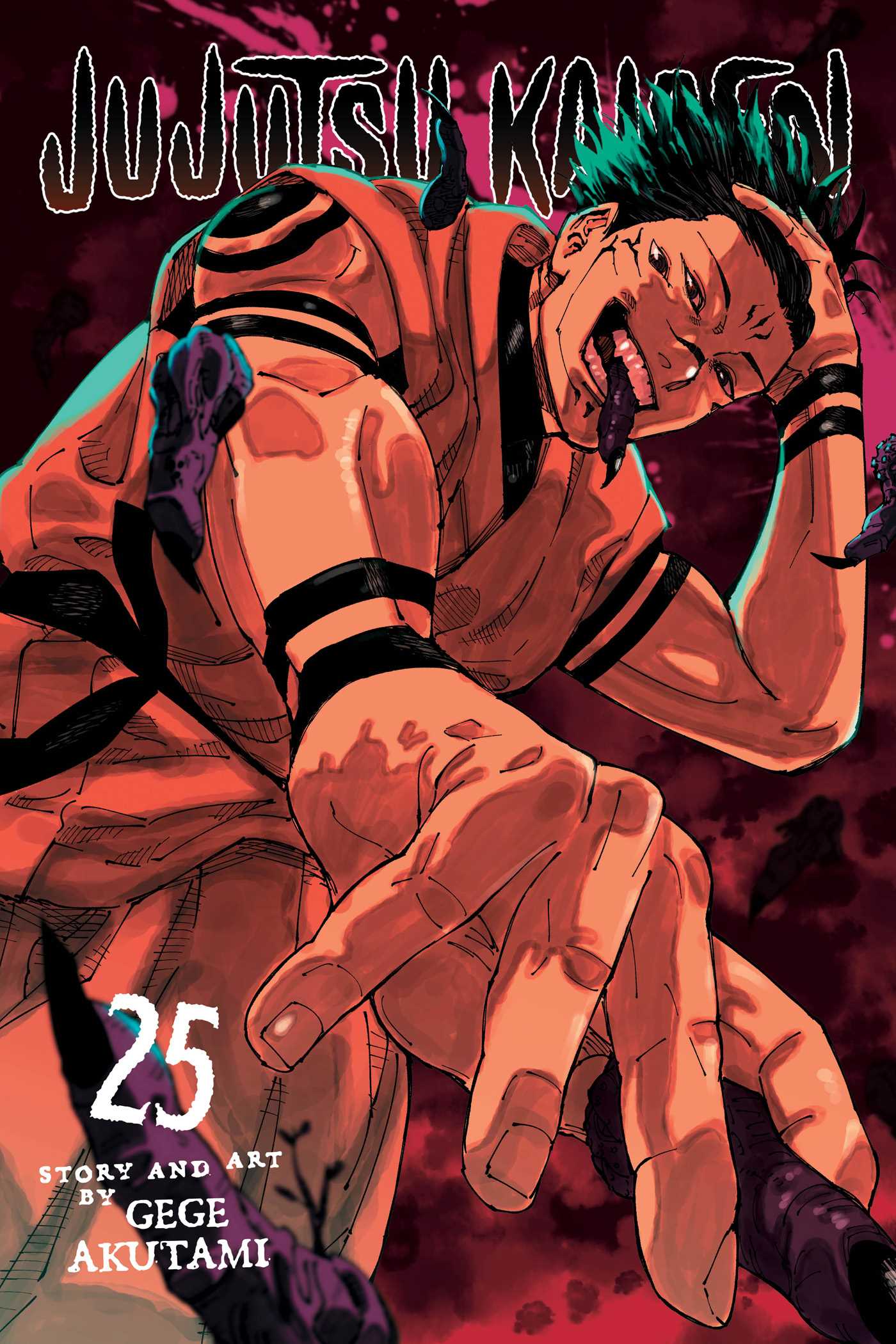 Product Image: Jujutsu Kaisen, Vol. 25