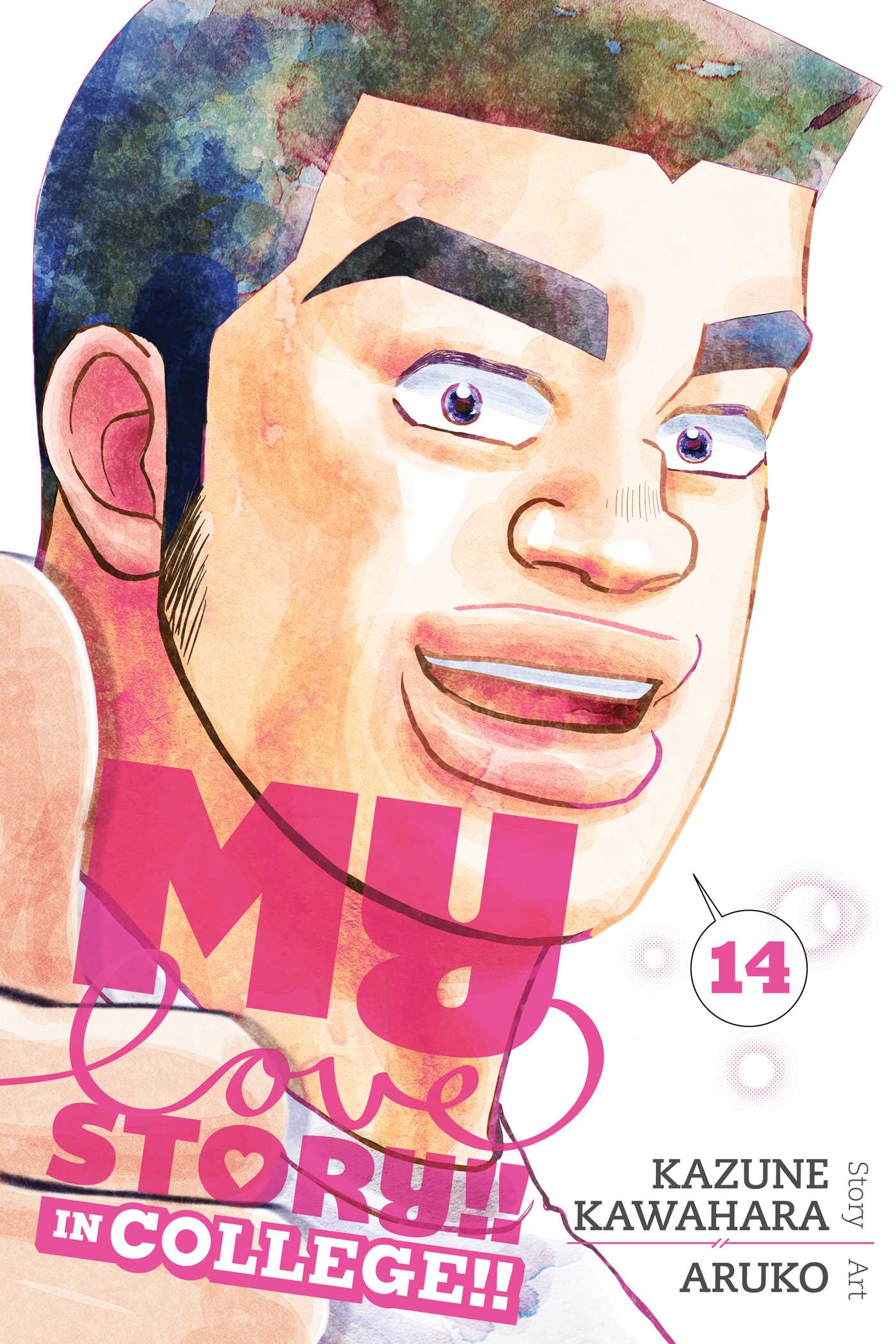 Product Image: My Love Story!!, Vol. 14: In College!!